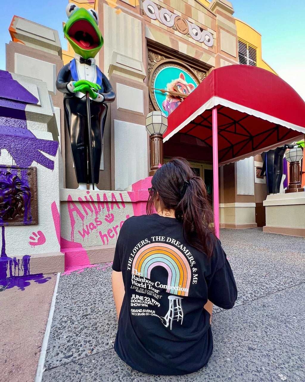 The Rainbow Connection World Tour Tee