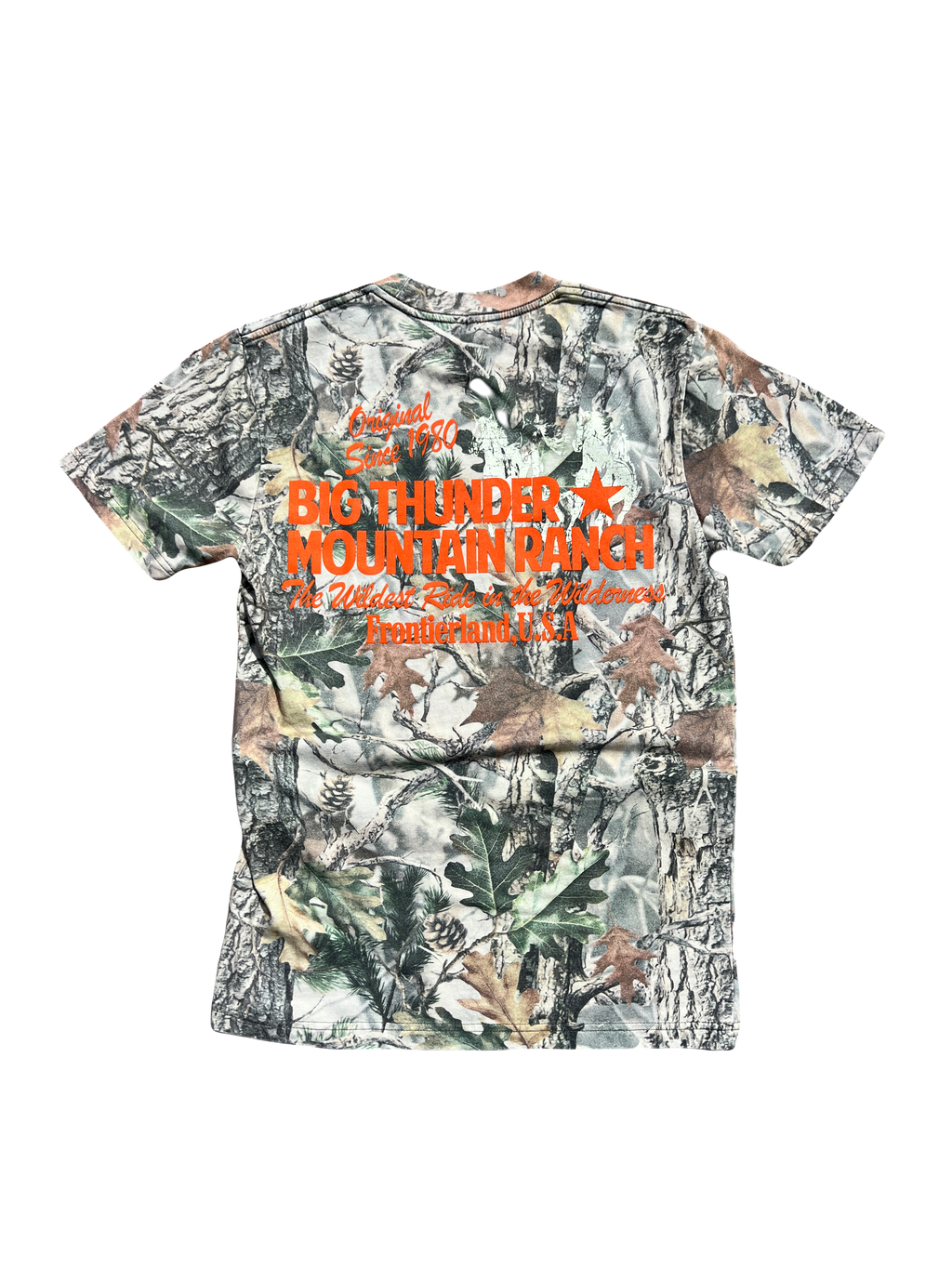 Big Thunder Mountain Ranch