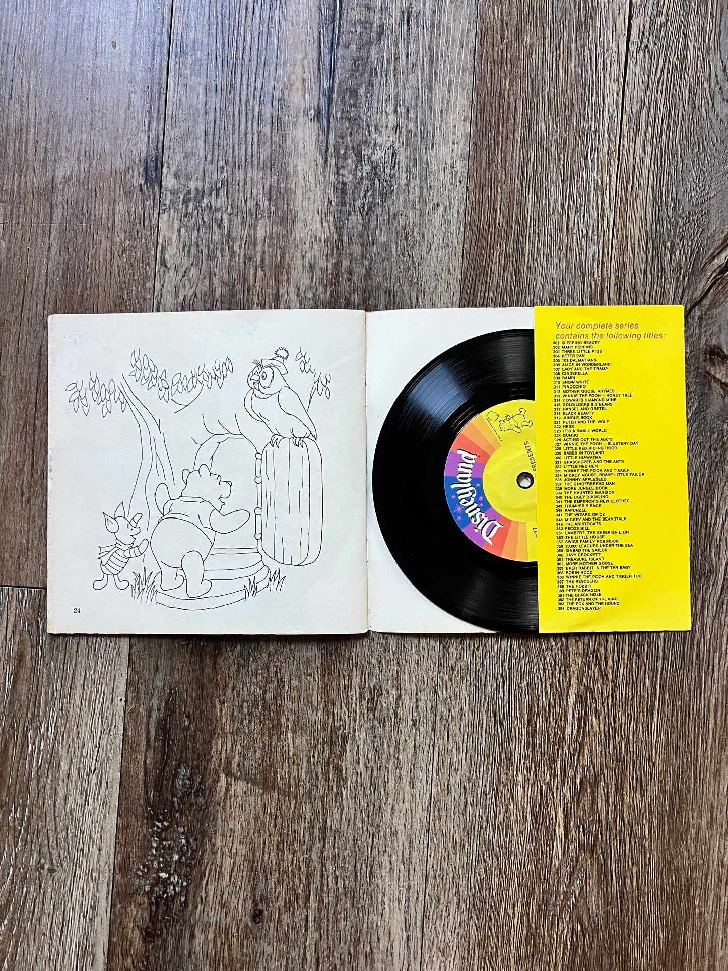 751 -Winnie The Pooh & The Blustery Day Vinyl Record 45