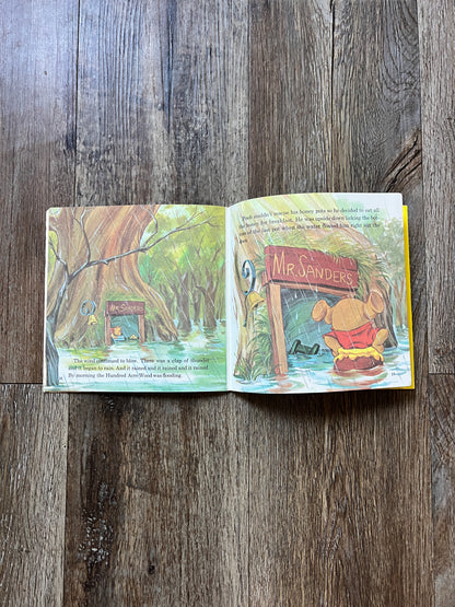 751 -Winnie The Pooh & The Blustery Day Vinyl Record 45