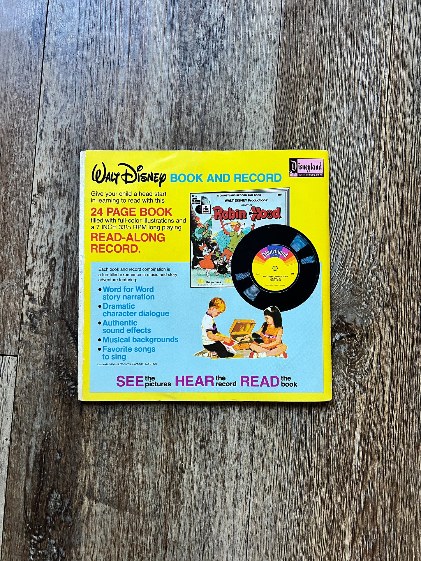 751 -Winnie The Pooh & The Blustery Day Vinyl Record 45