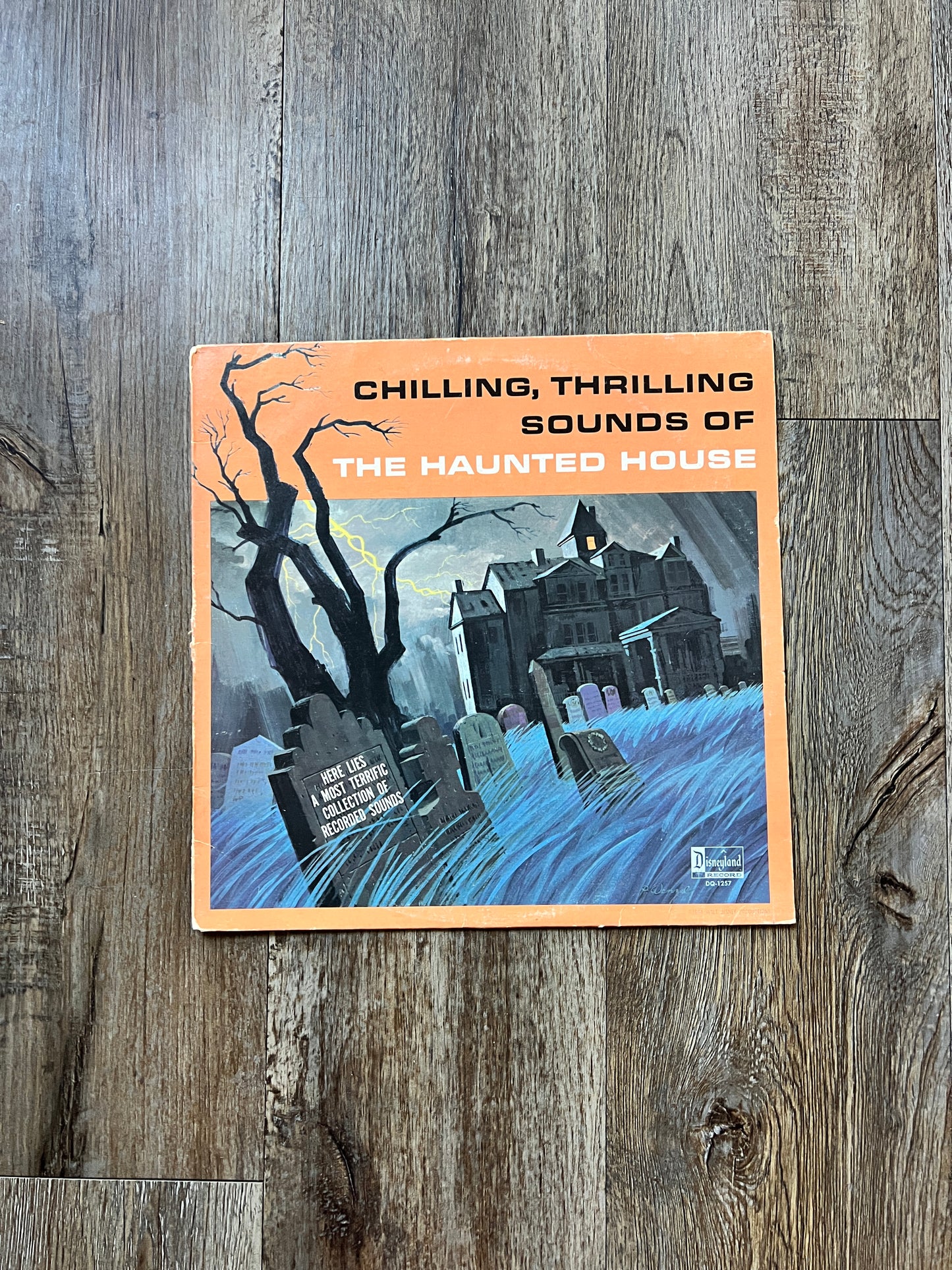 838 -Chilling, Thrilling Sounds of The Haunted House Vinyl Record 33