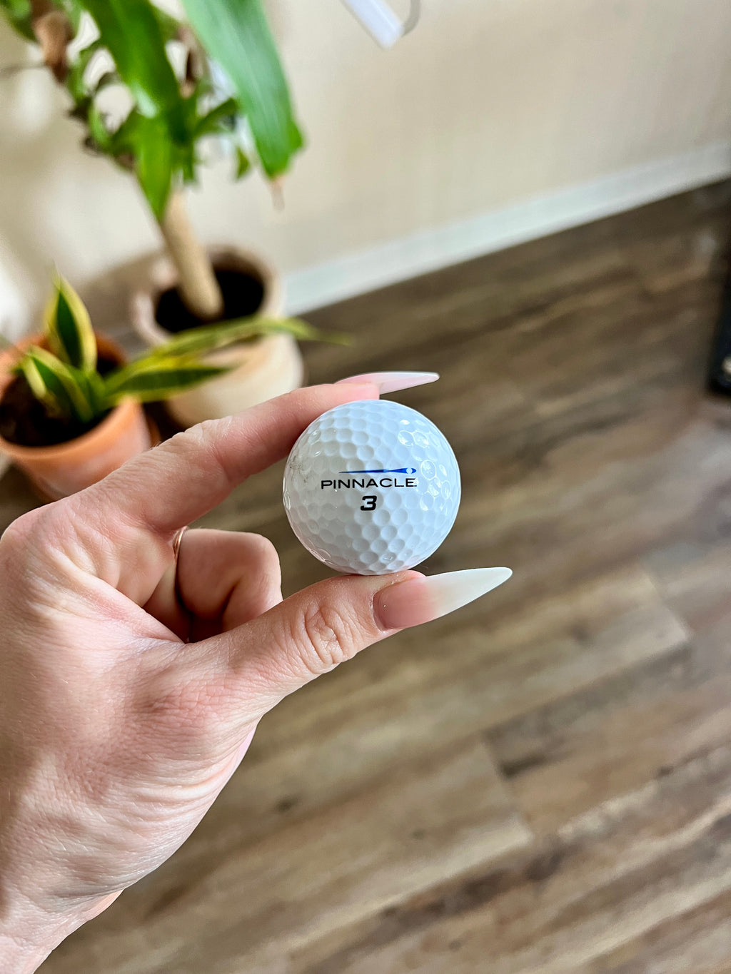 Pinnacle Character Golf Balls