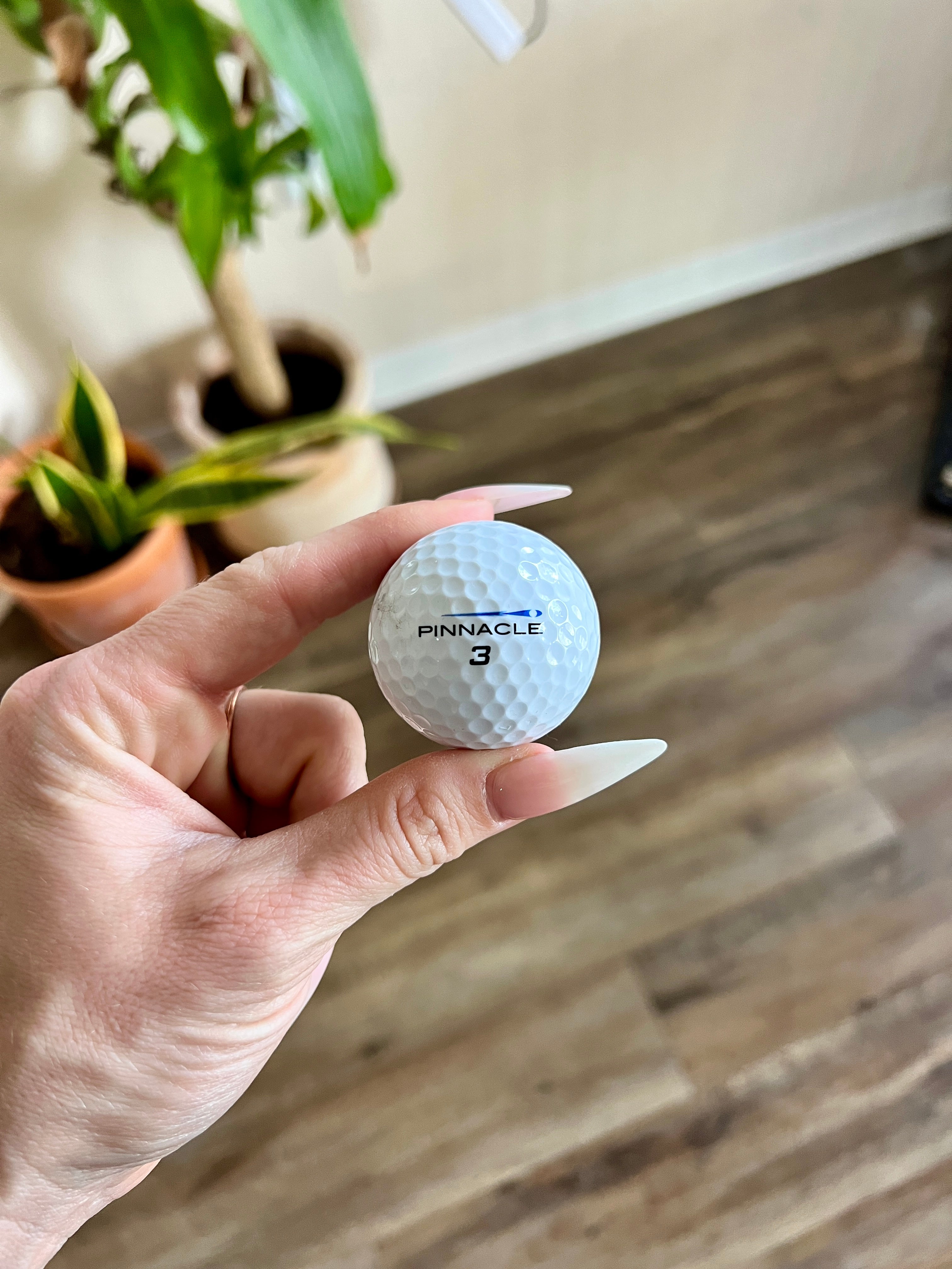 Pinnacle Character Golf Balls