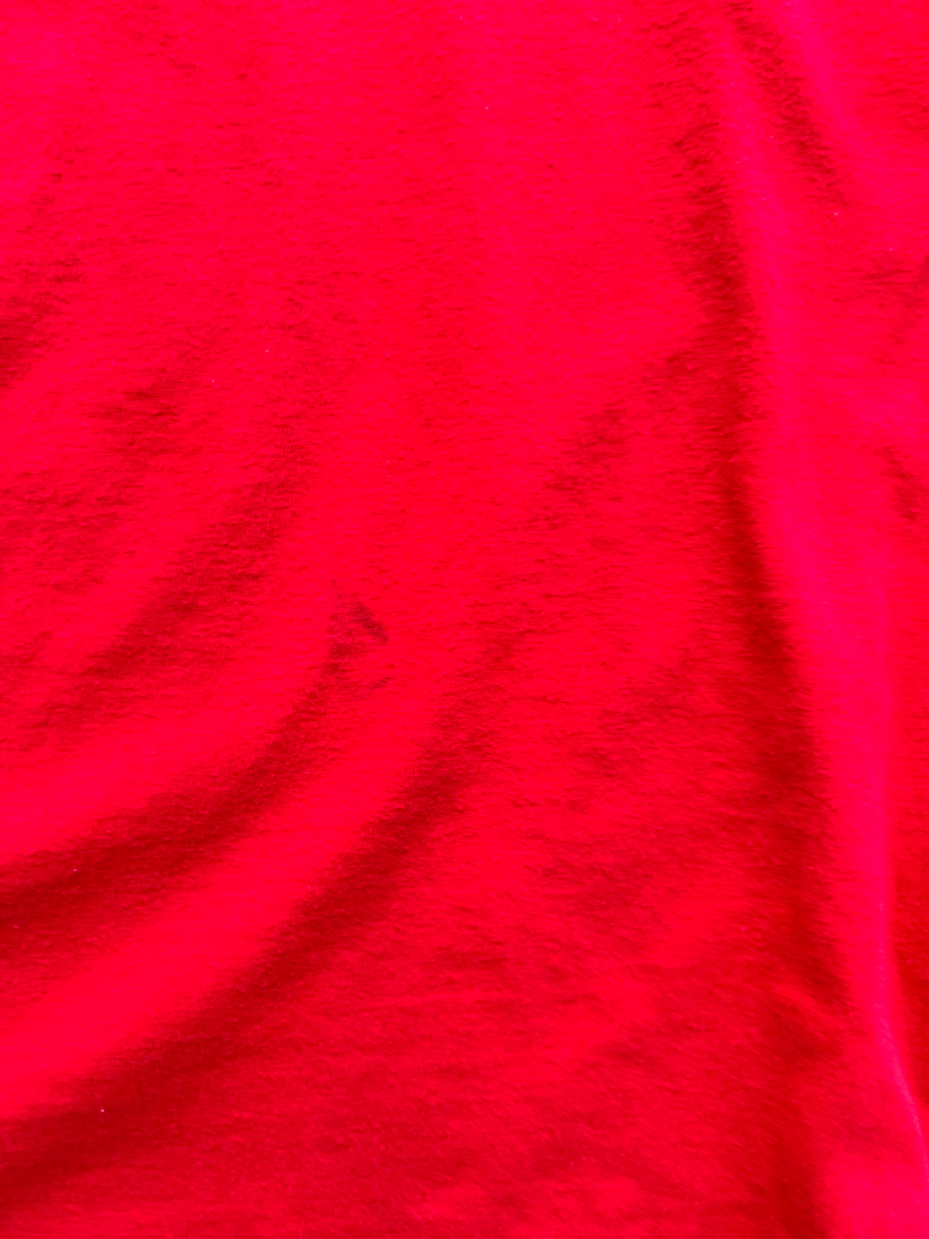 1492 - Red Disneyland Resort Reindeer Round-up Tee - L