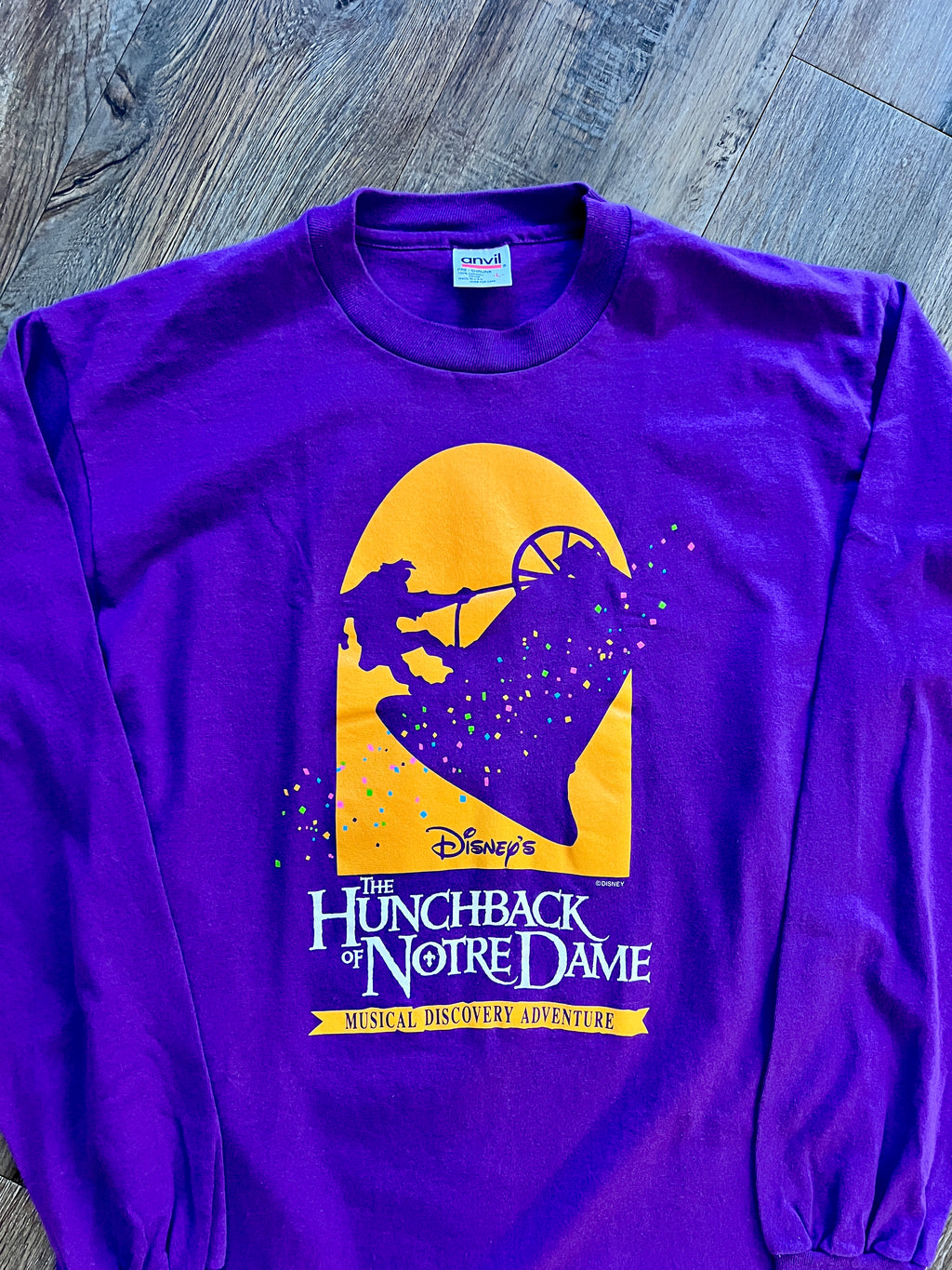 895 -Purple Hunchback of Notre Dame Musical Discovery Adventure Long Sleeve - L
