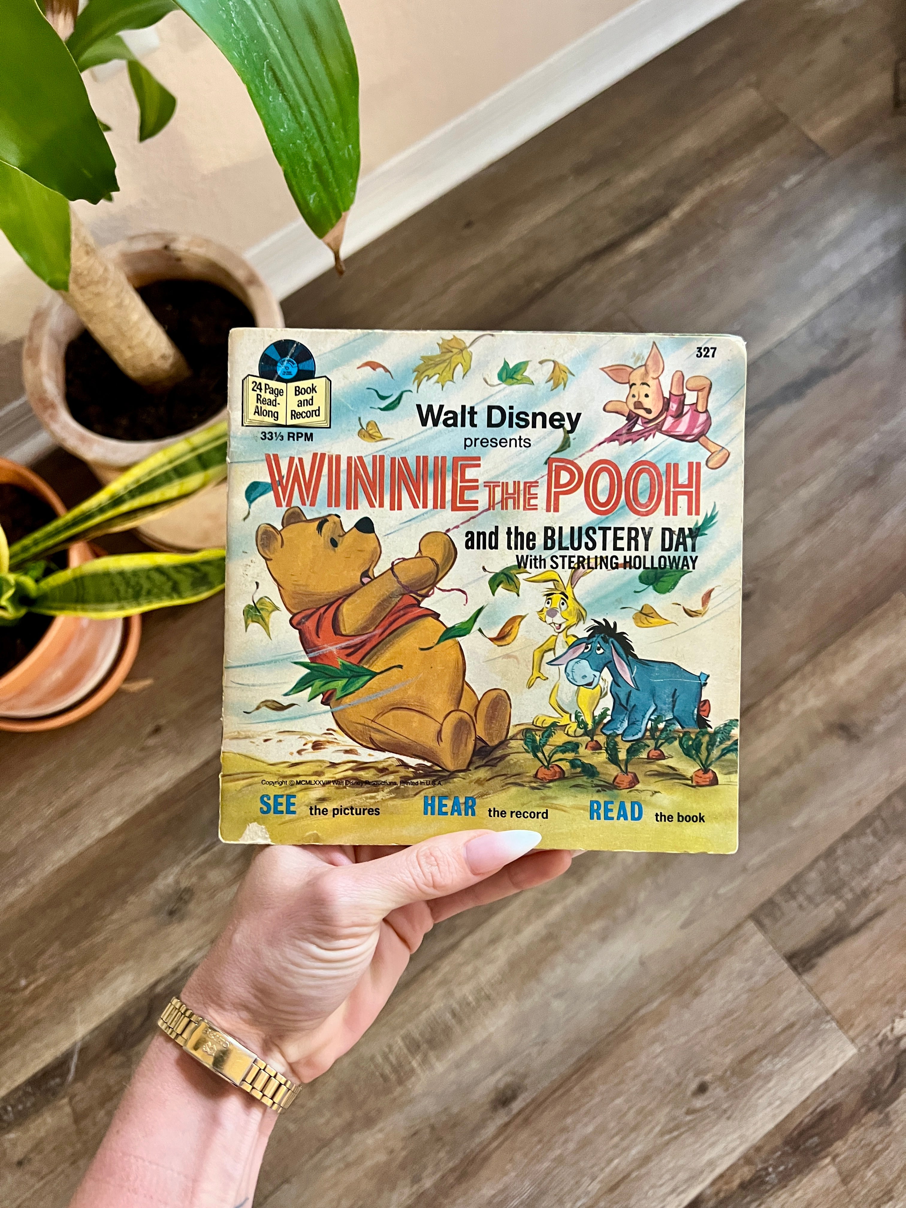 Winnie The Pooh & The Blustery Day Read Along Book & Record