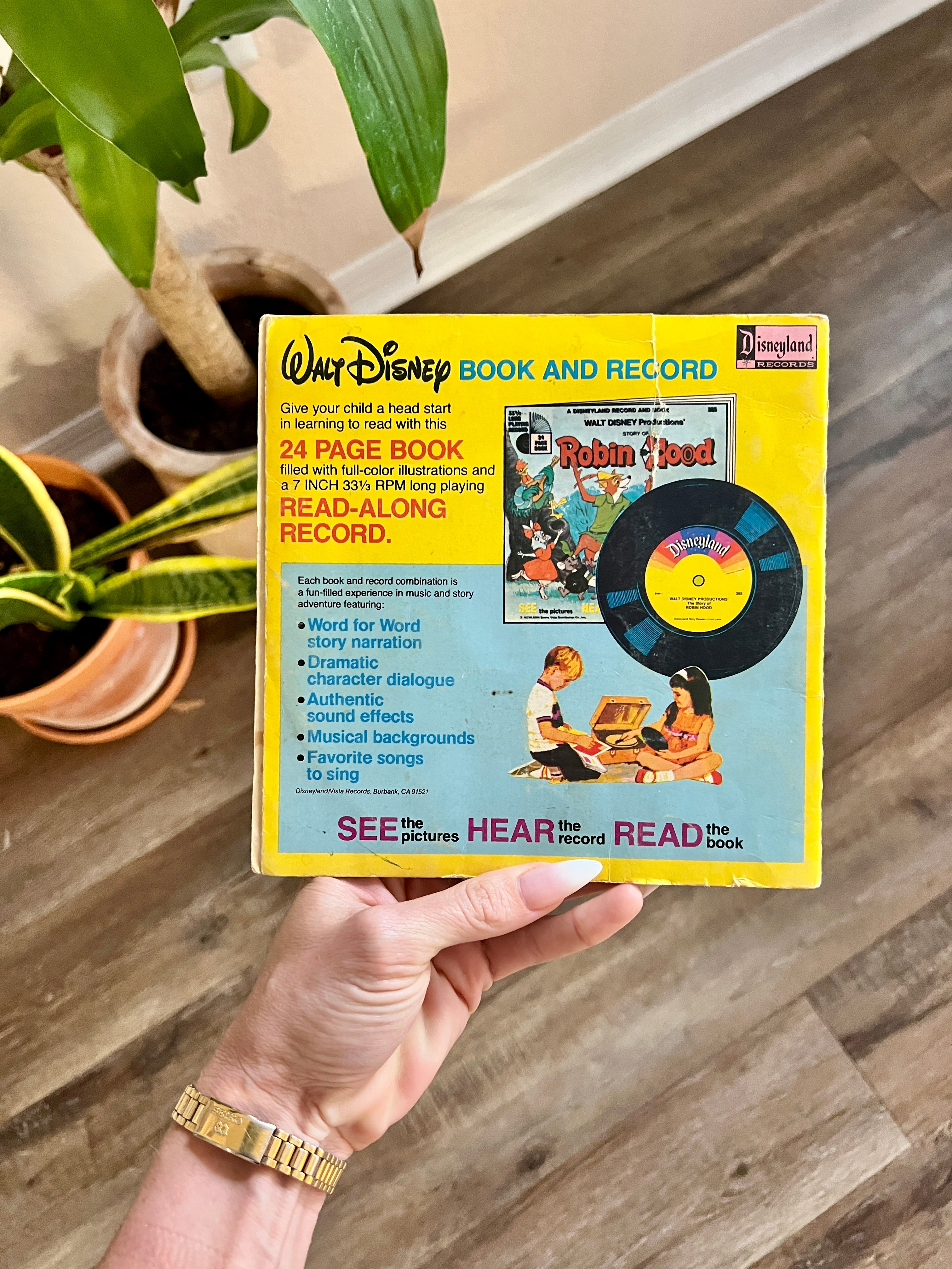 Winnie The Pooh & The Blustery Day Read Along Book & Record