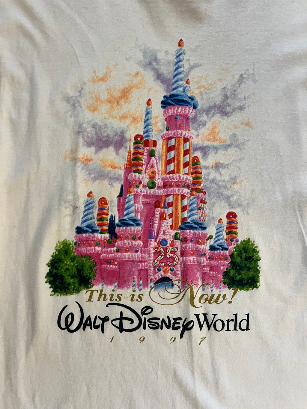 935 -White This Is Now That Was Then 25th Anniversary Cinderella Castle Shirt - L