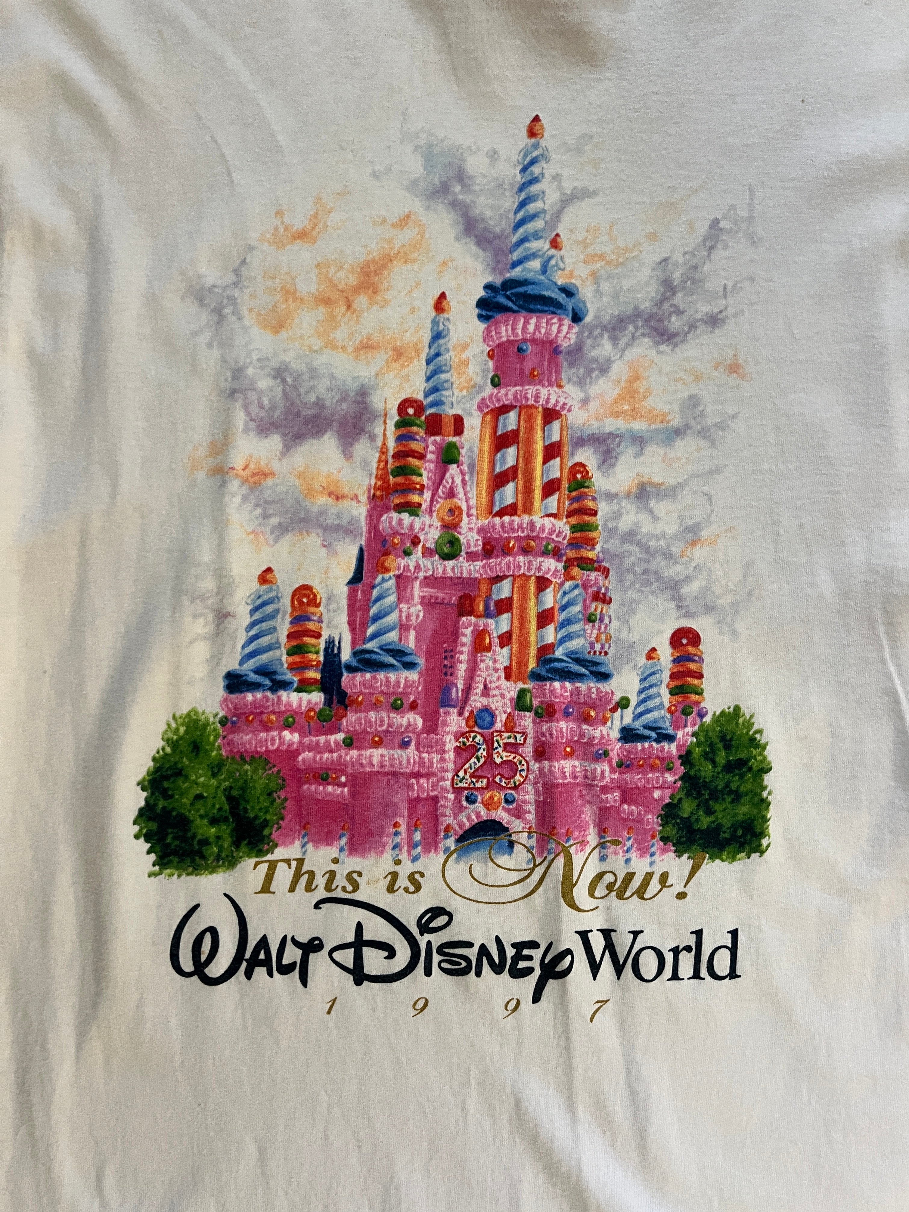 935 -White This Is Now That Was Then 25th Anniversary Cinderella Castle Shirt - L