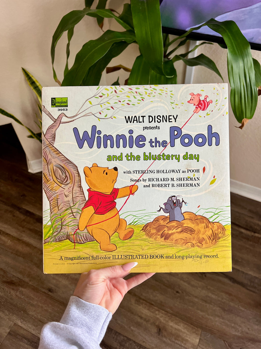951 -Winnie the Pooh & The Blustery Day Vinyl Record 33