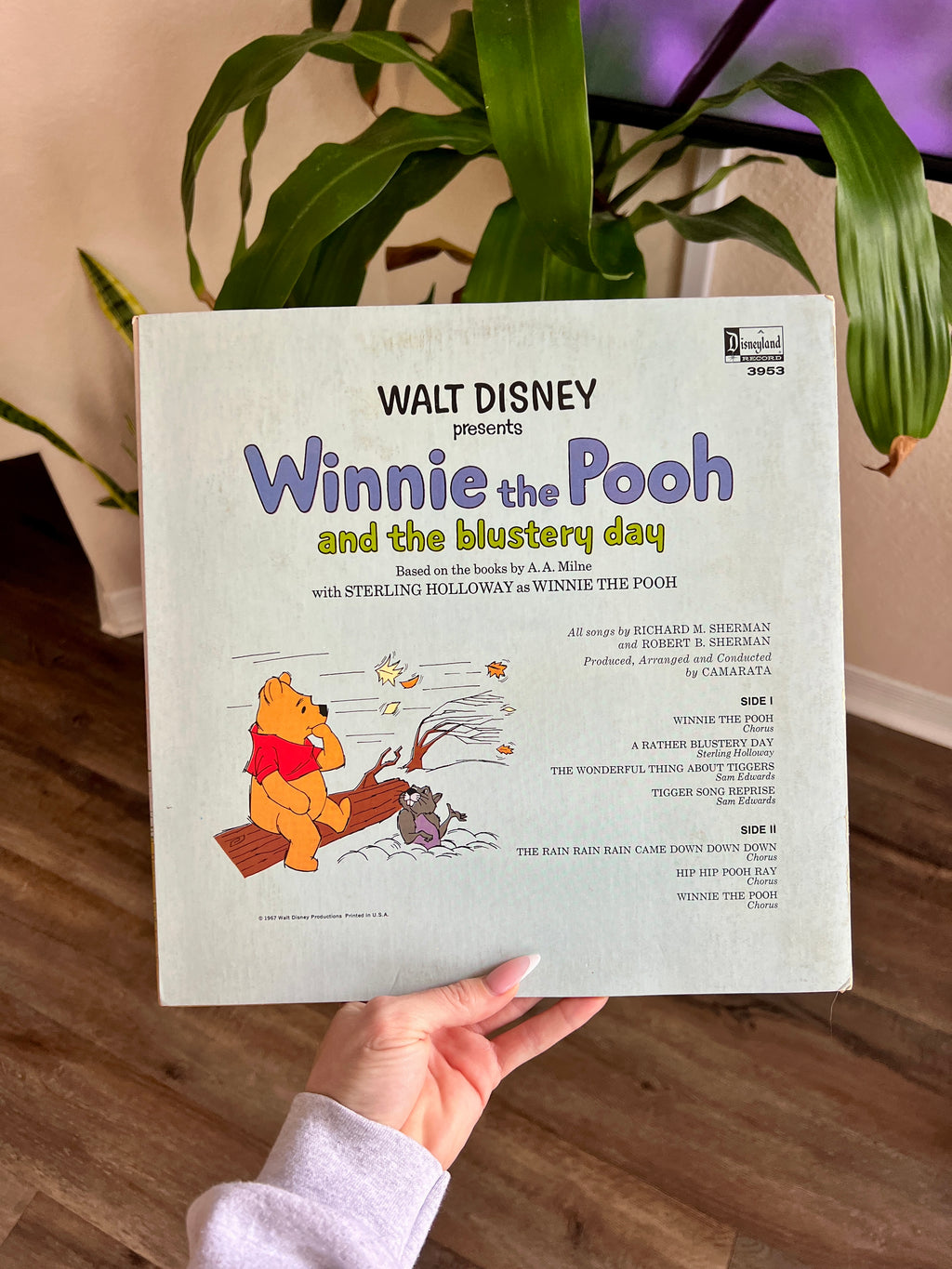 951 -Winnie the Pooh & The Blustery Day Vinyl Record 33