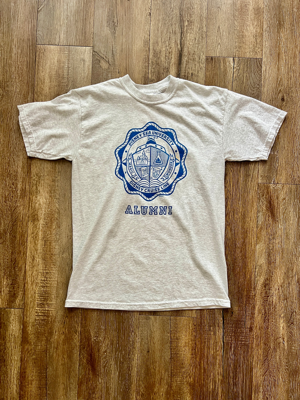 315 -Grey Disney Sea University Alumni Shirt - M