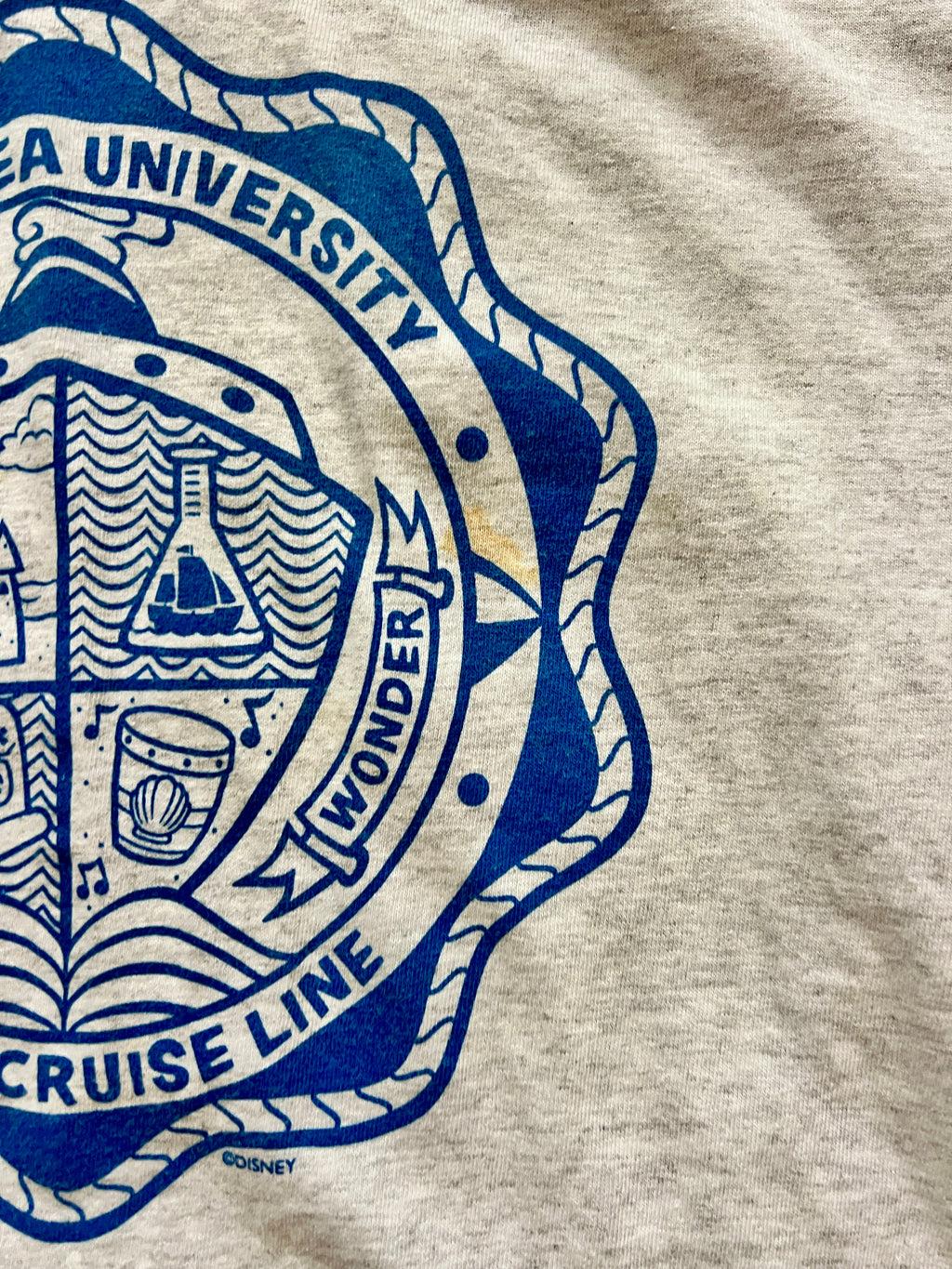315 -Grey Disney Sea University Alumni Shirt - M