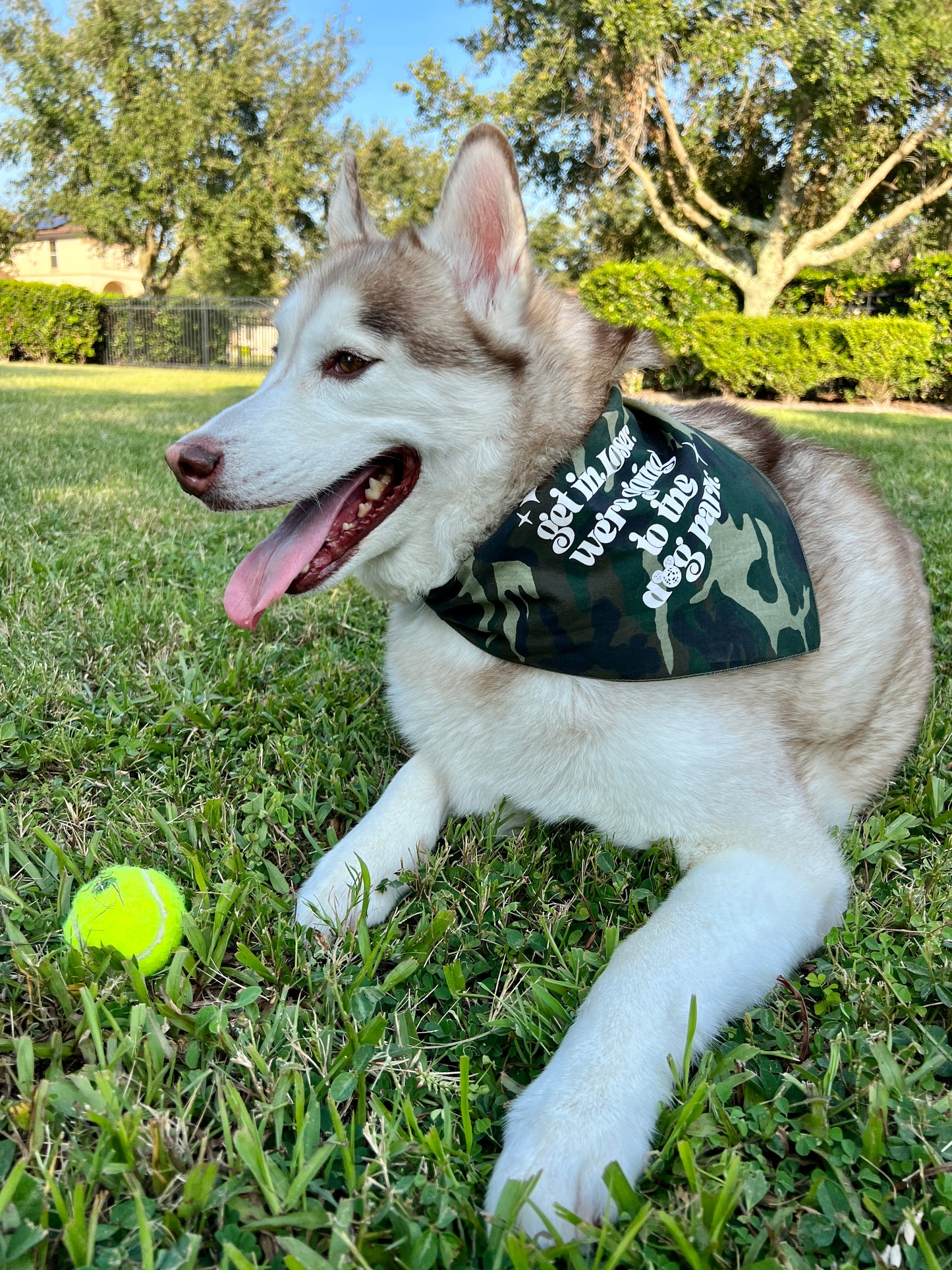 Camo Dog Park Bandanas