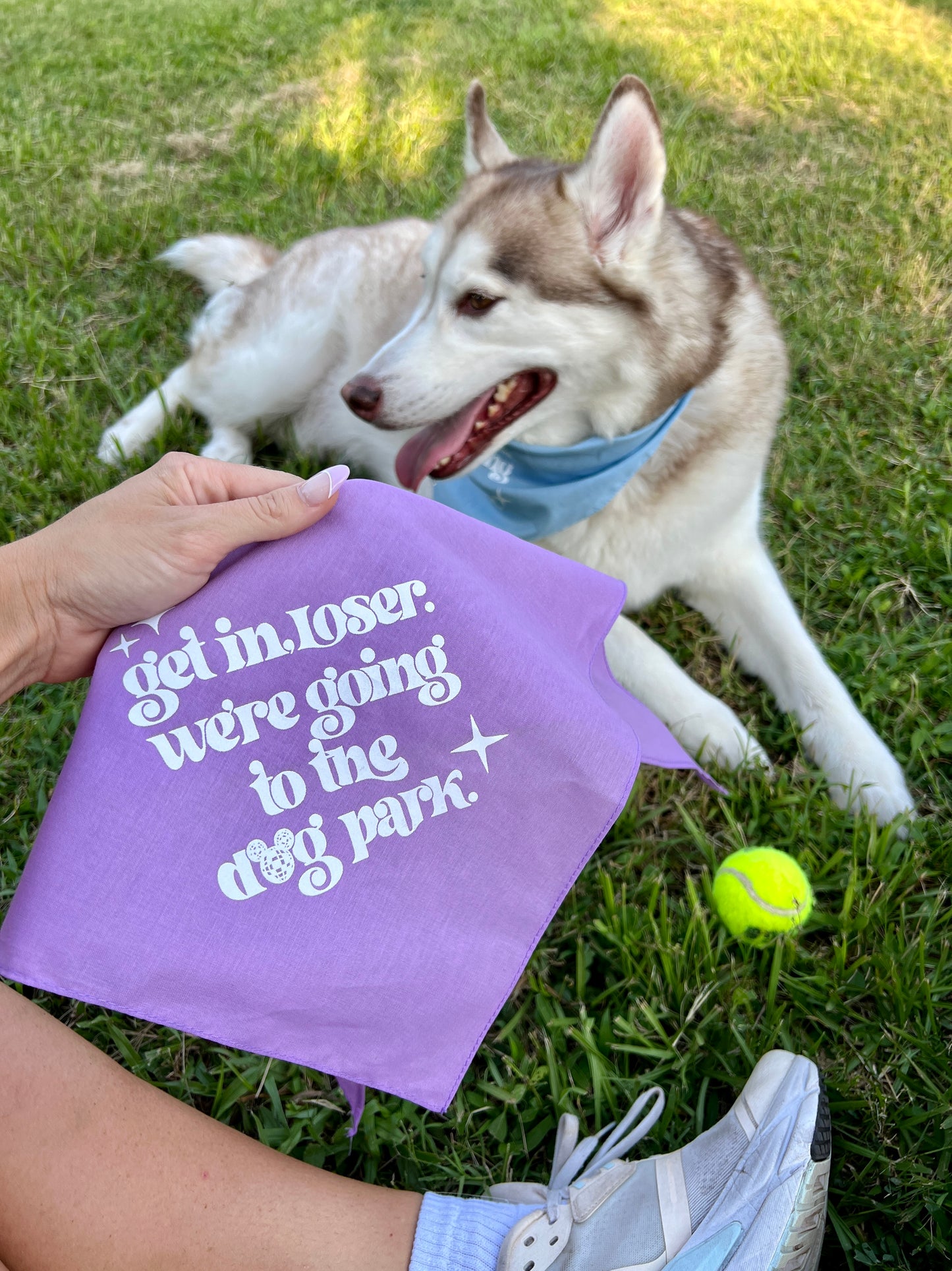 Lavendar Dog Park Bandanas