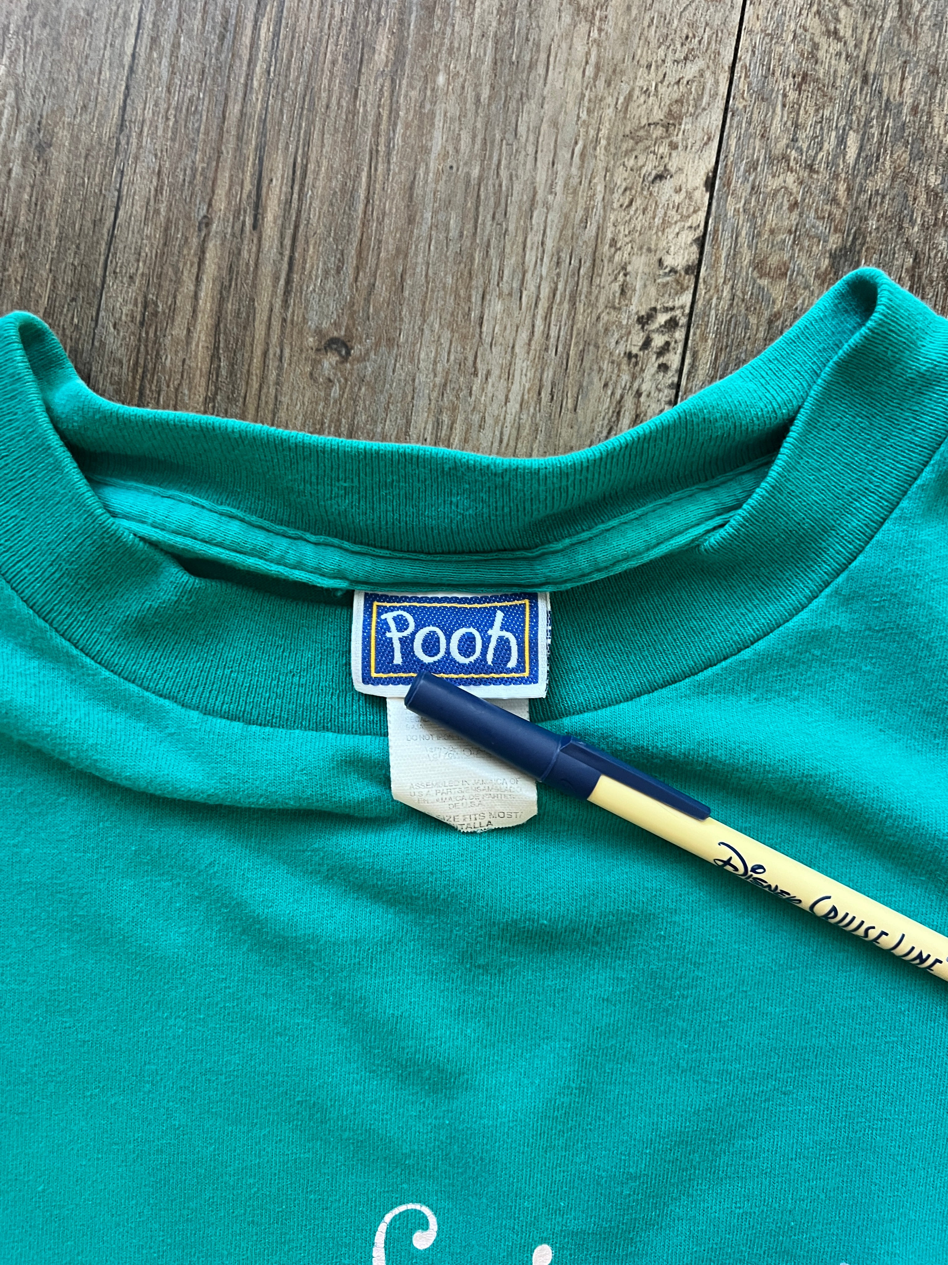 412 -Teal Hello Little Friend WTP & Piglet Sleep Shirt - OSFA