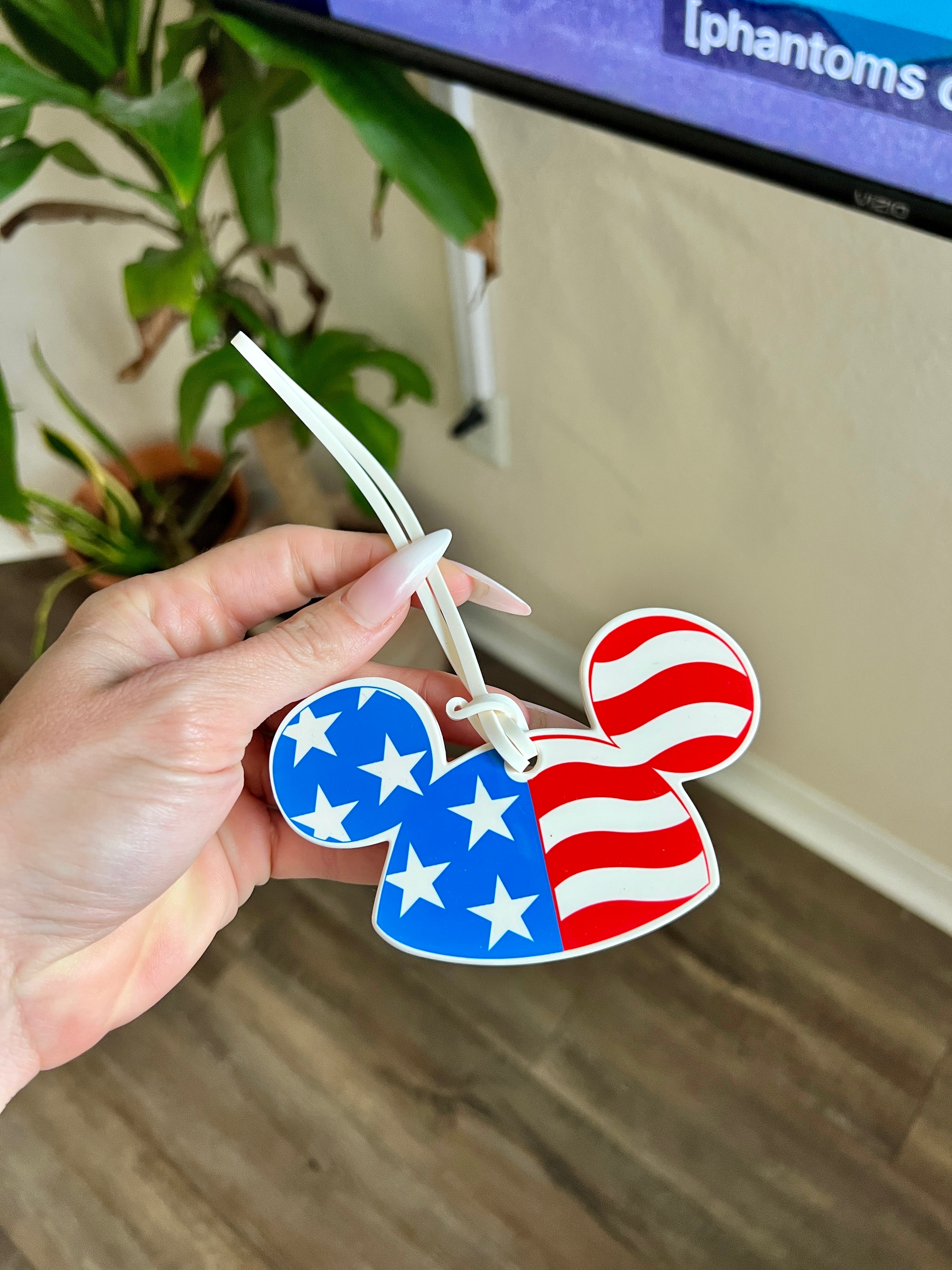Luggage Tags