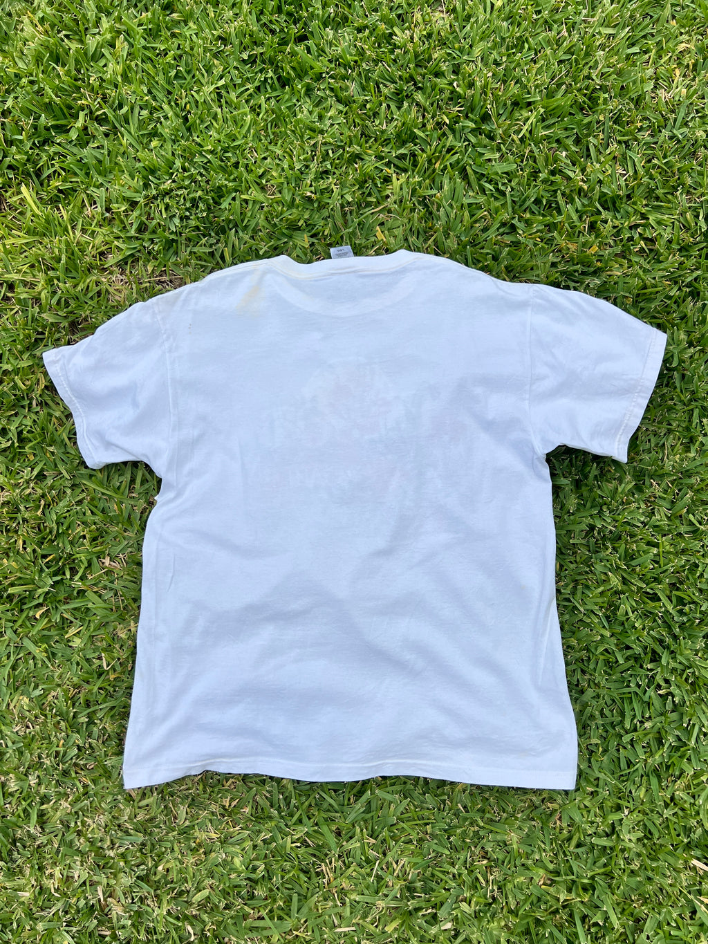 EPCOT Flower & Garden Recycled Tees - Wildseed Farms - L