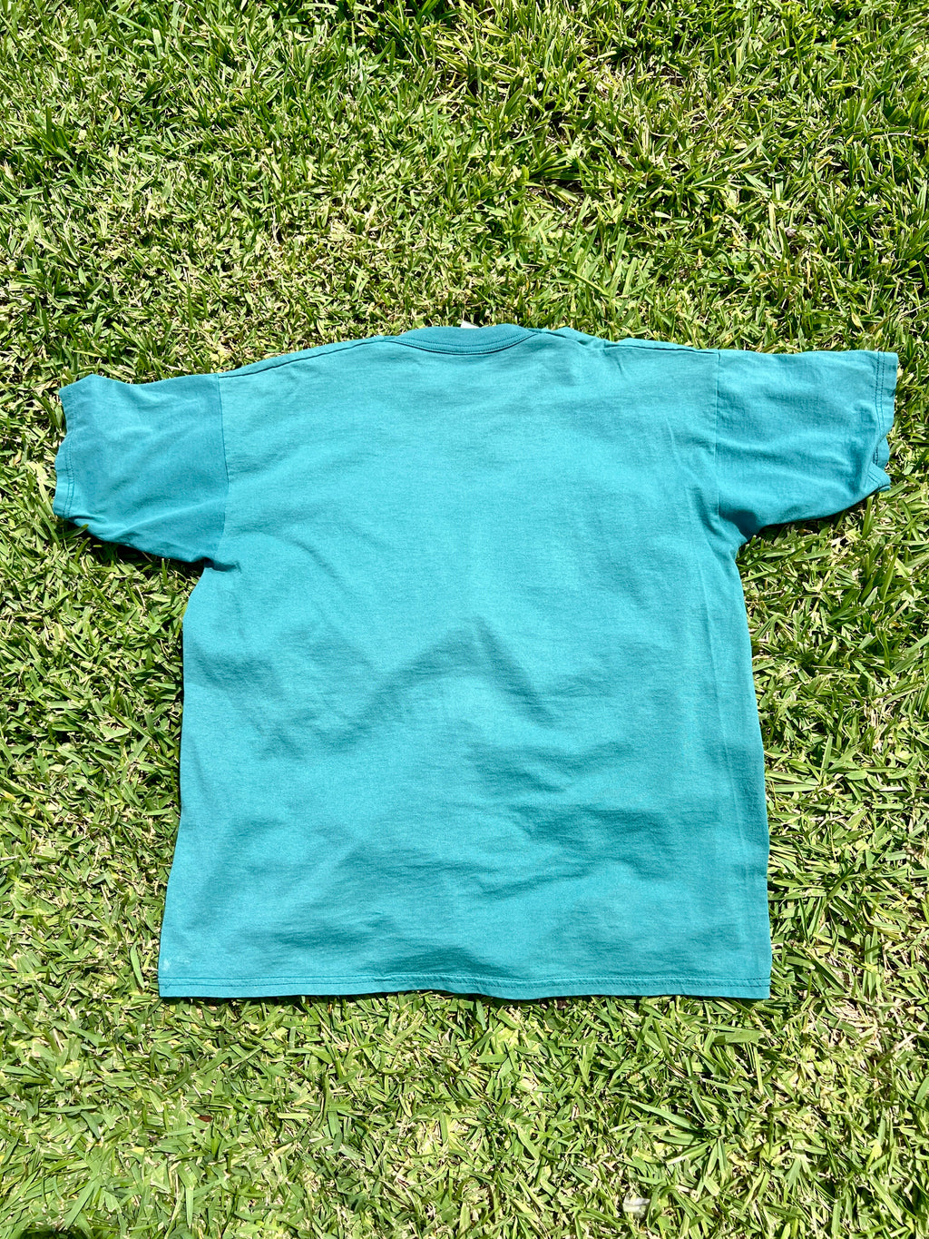 EPCOT Flower & Garden Recycled Tees - Blue Florida Butterflies - XL