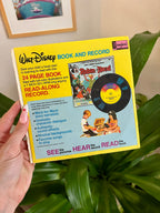 Winnie the Pooh & The Blustery Day 45 Vinyl Storybook Record
