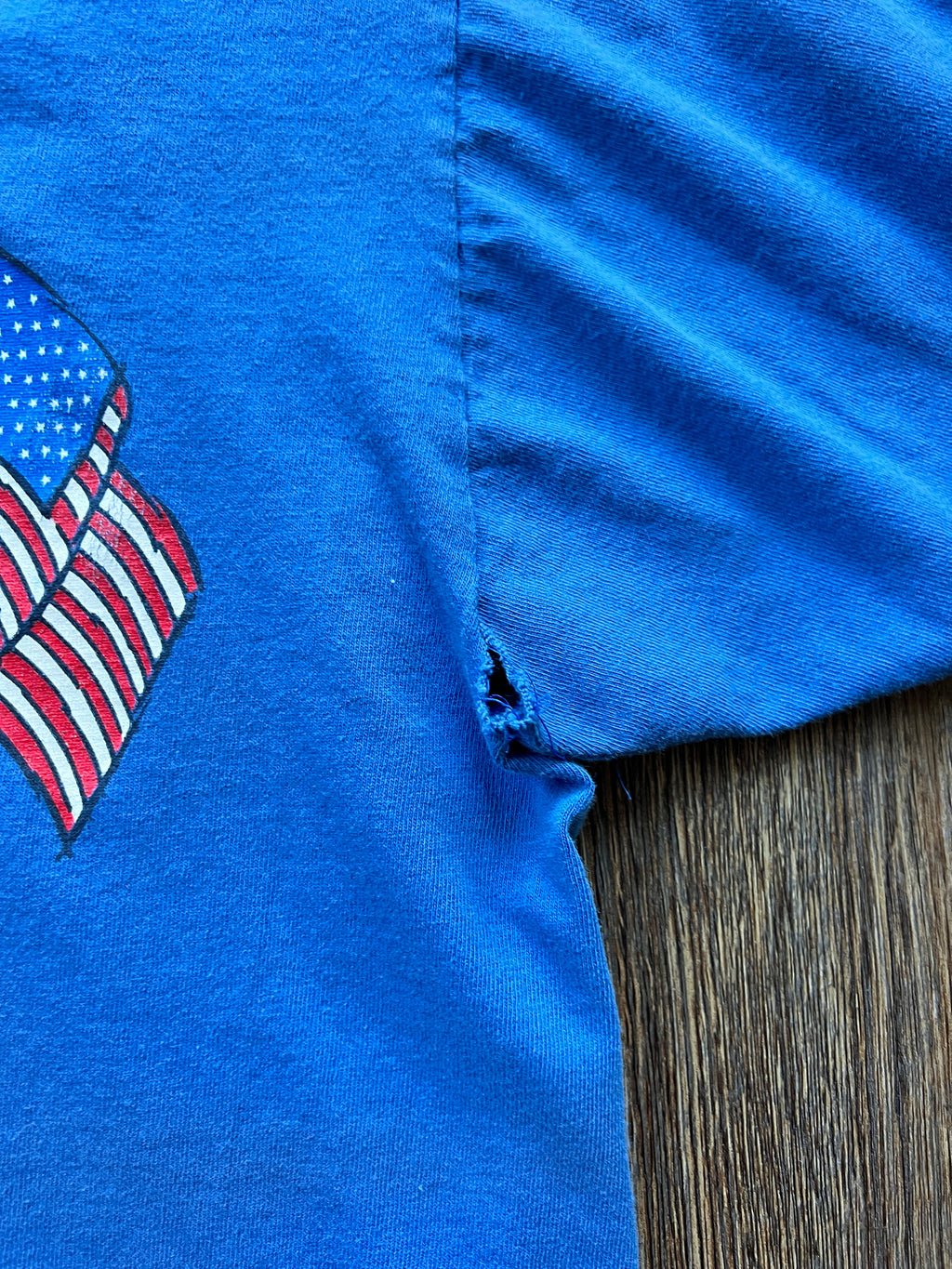 77 -Blue Hip Hip Hooray Pooh & Piglet USA Shirt - 3X