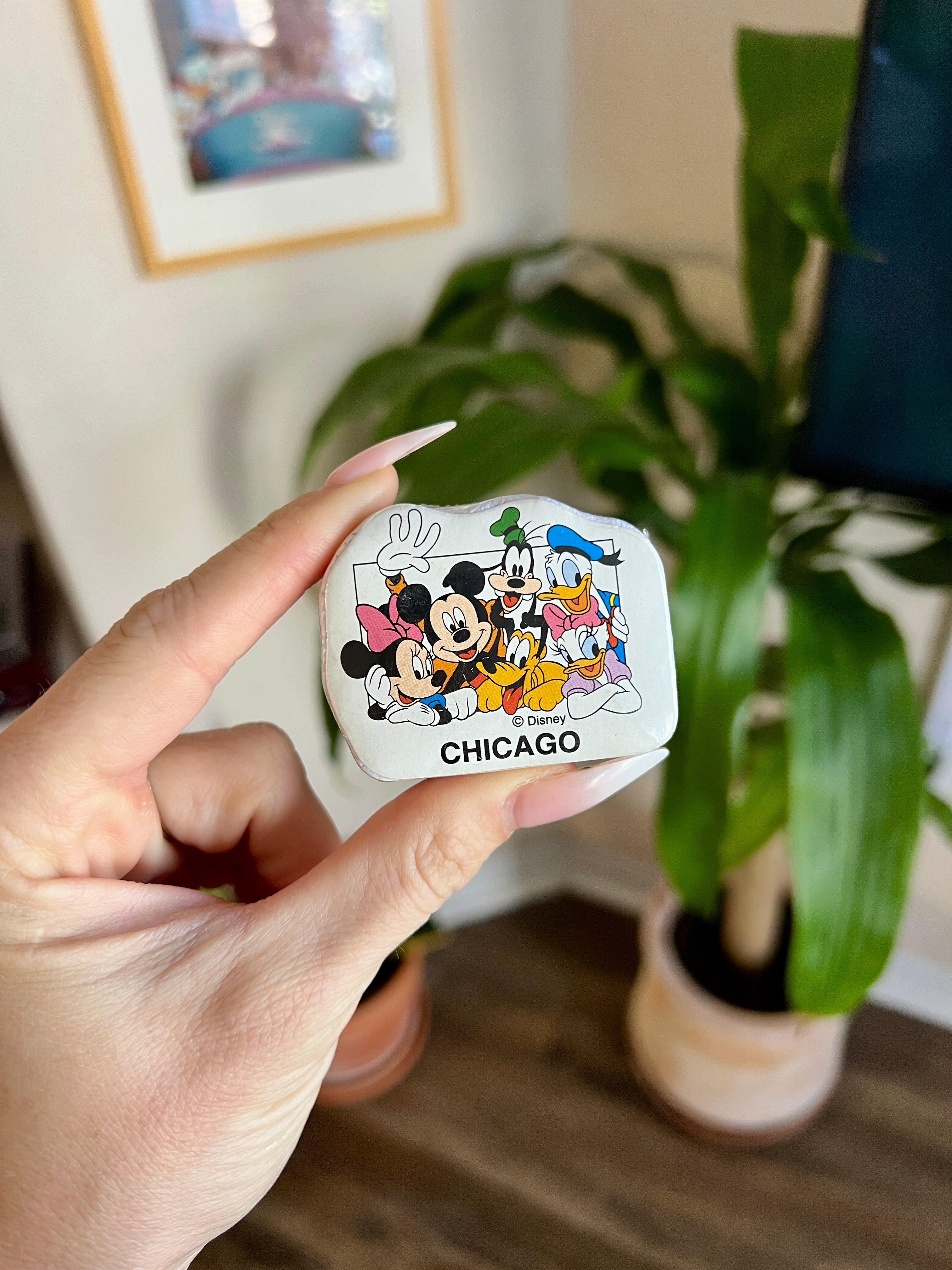 Magic Towels - Expanding Washcloths