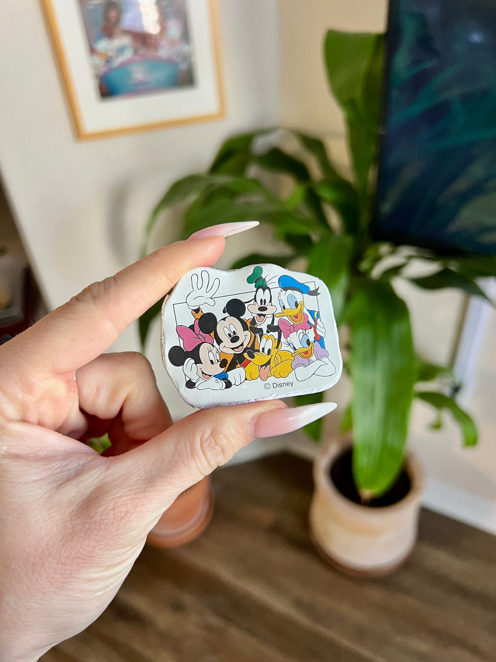 Magic Towels - Expanding Washcloths