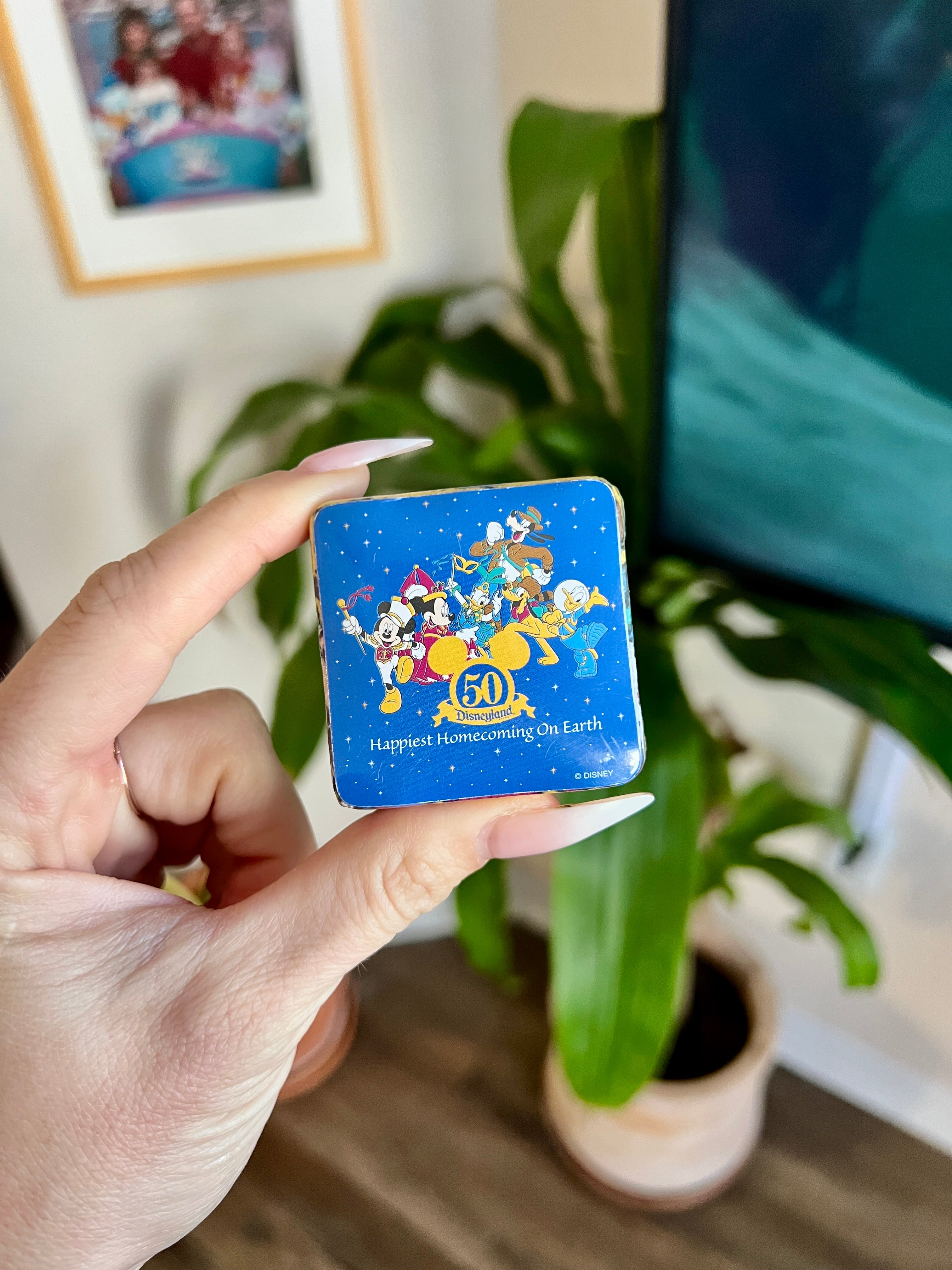 Magic Towels - Expanding Washcloths