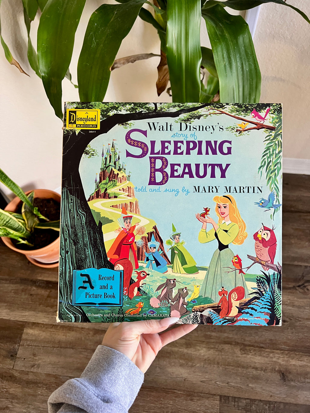 1189 -Story of Sleeping Beauty Record