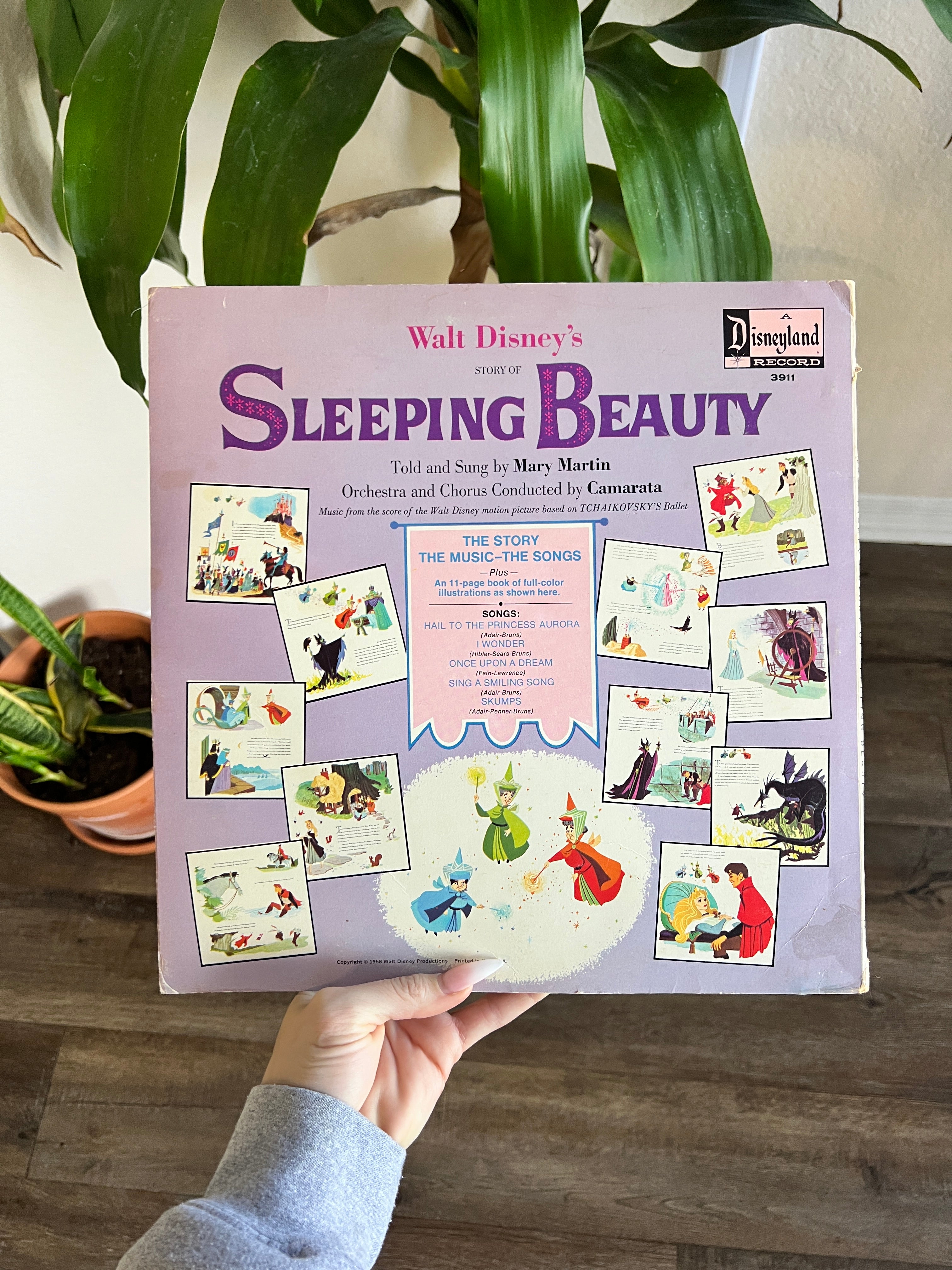 1189 -Story of Sleeping Beauty Record
