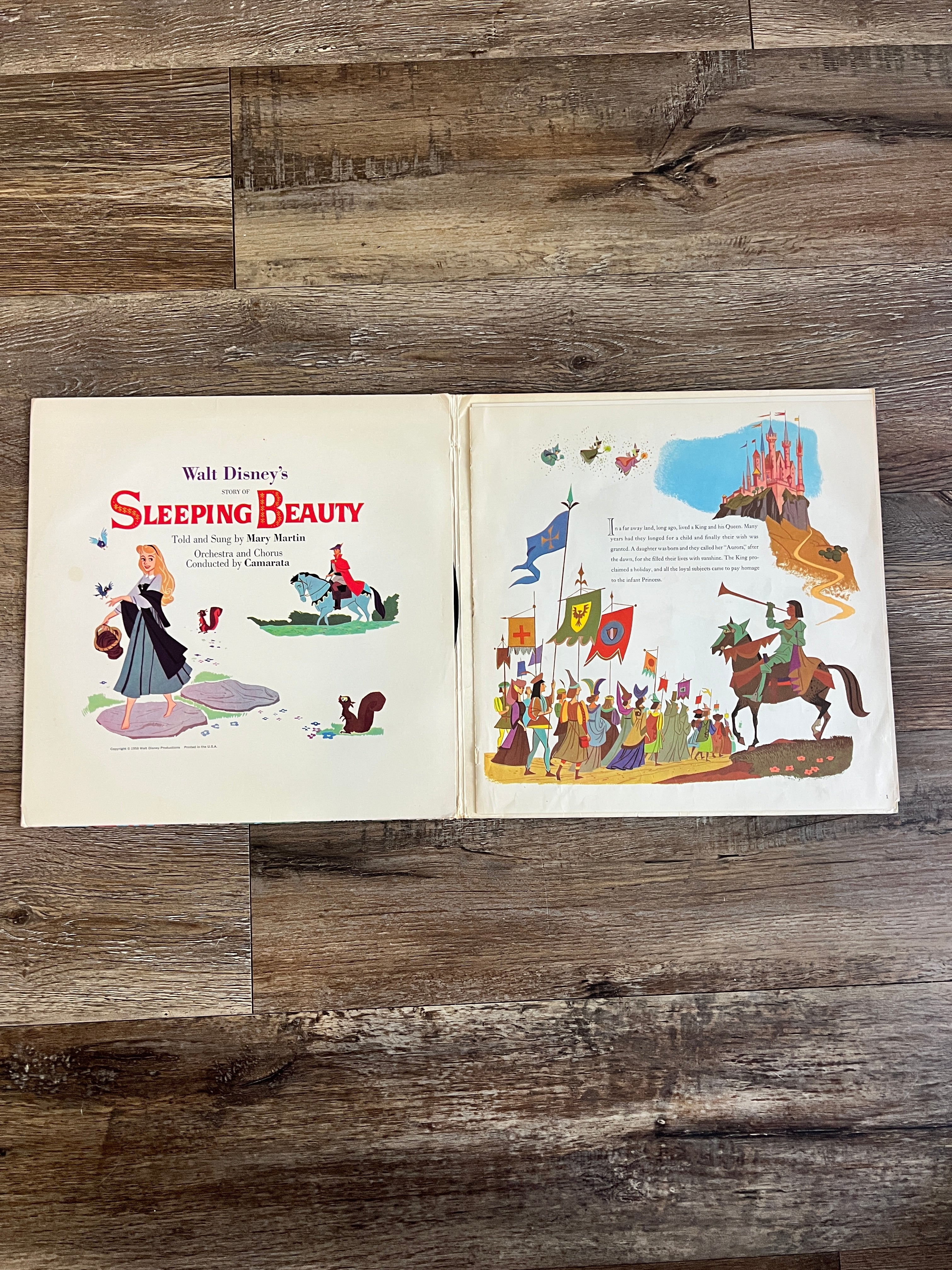 1189 -Story of Sleeping Beauty Record