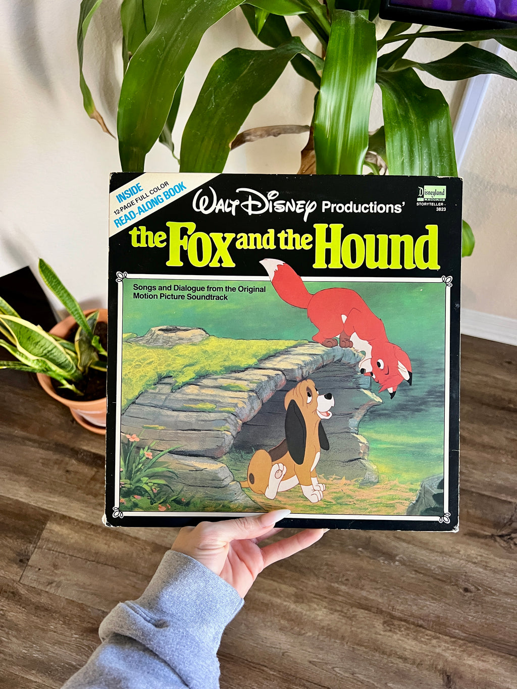 1194 -The Fox & The Hound Record