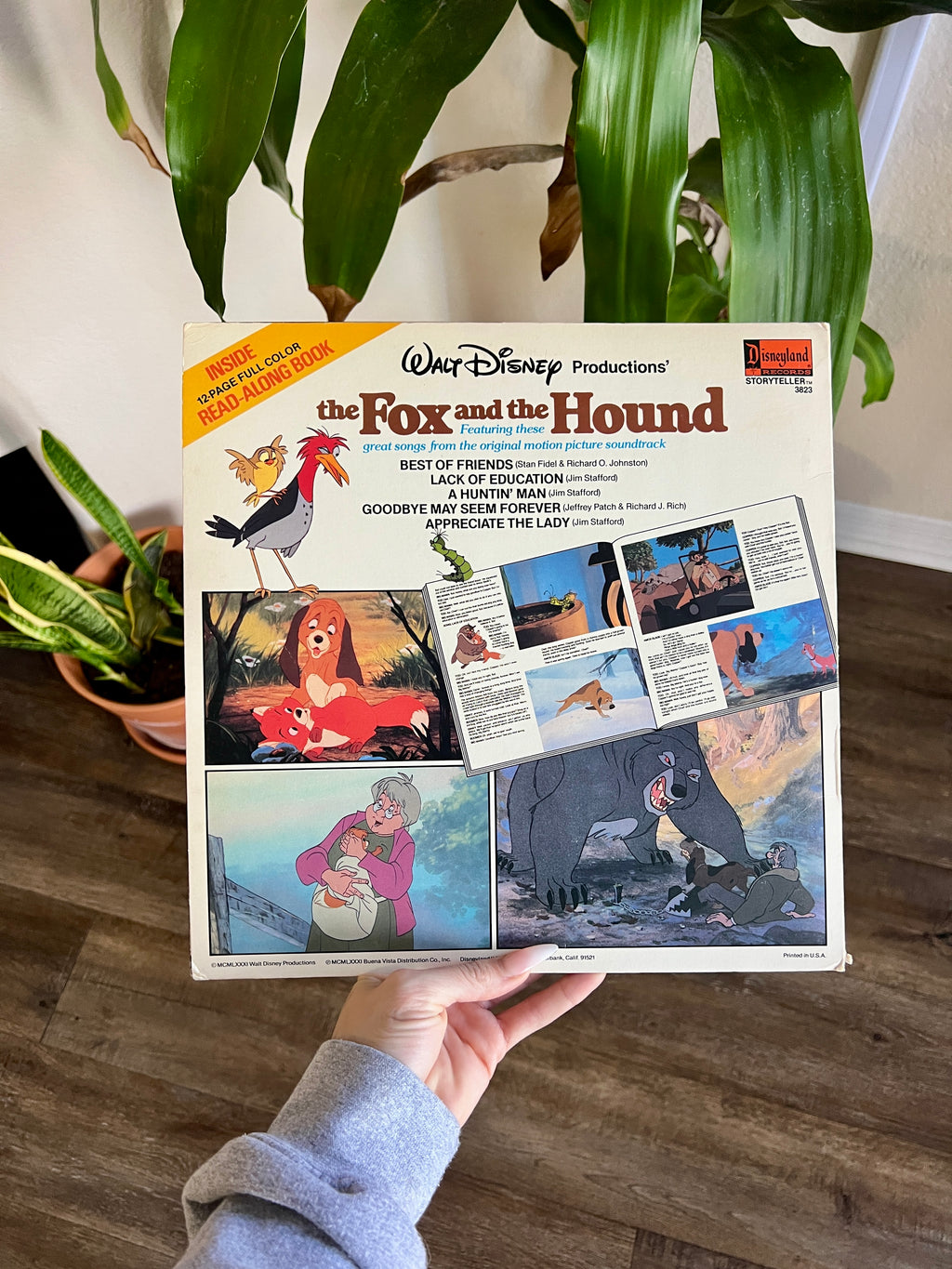 1194 -The Fox & The Hound Record