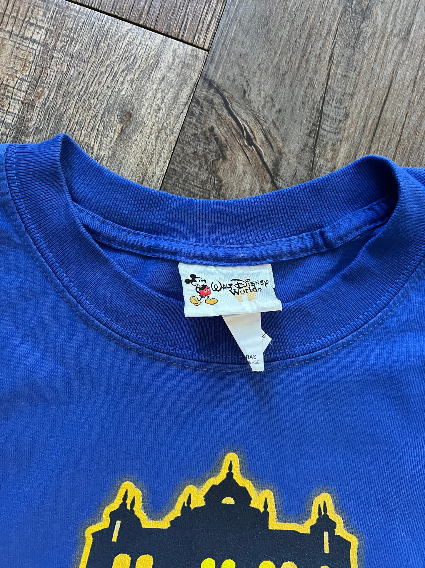 670 -Blue I Survived Tower of Terror Mickey Lightning Tee - M