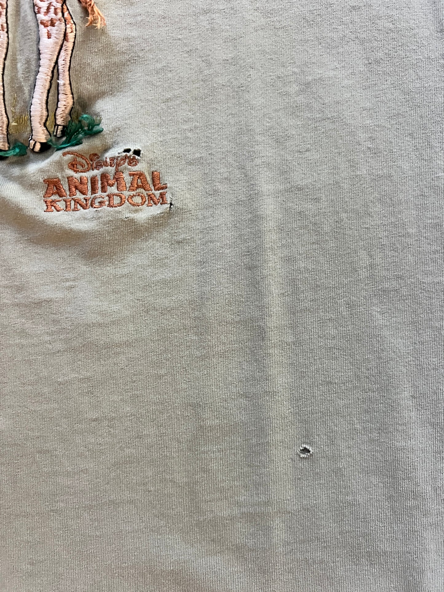 680 -Sage Embroidered Anima Kingdom Giraffe Tee - 2X