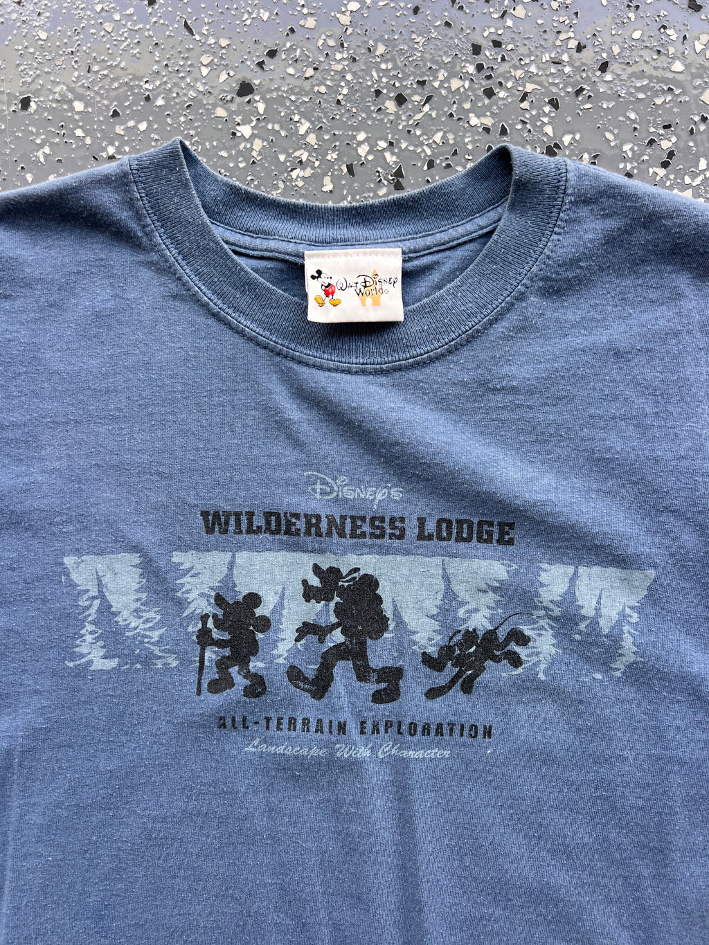 1434 - Navy Wilderness Lodge All-Terrain Exploration Mickey, Goofy, Pluto Tee - NT/M