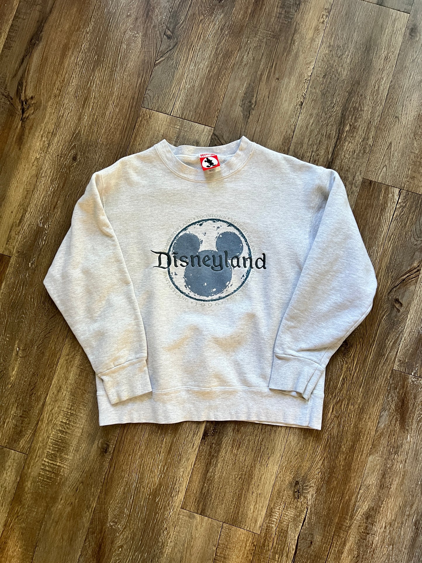 732 -Grey Embroidered Disneyland Lands Crewneck - M