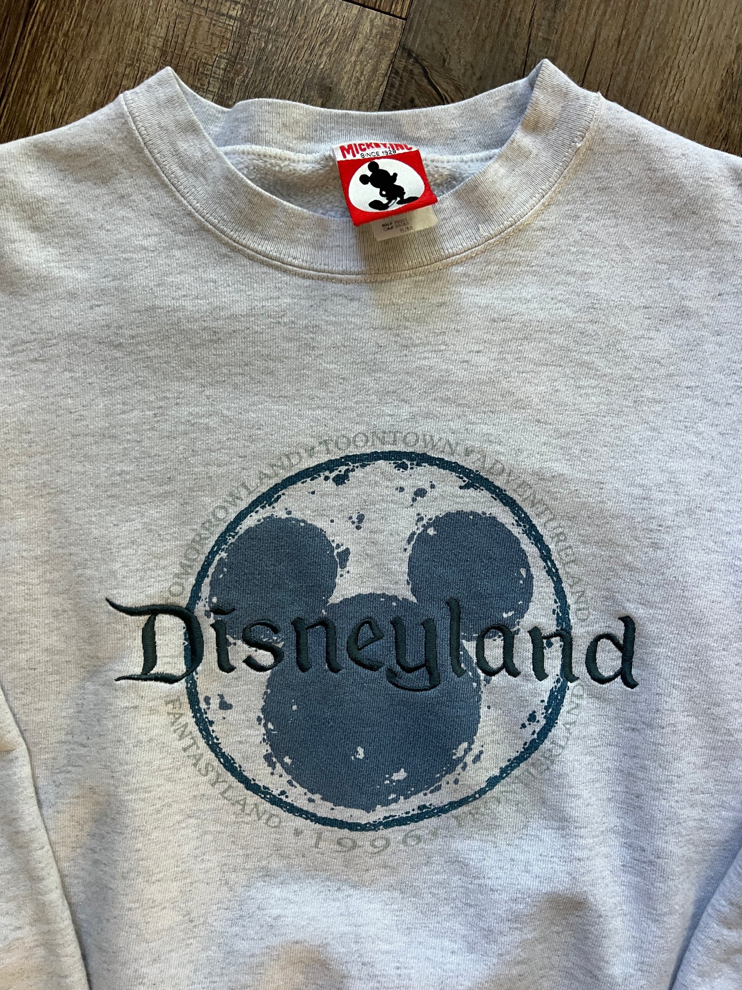 732 -Grey Embroidered Disneyland Lands Crewneck - M