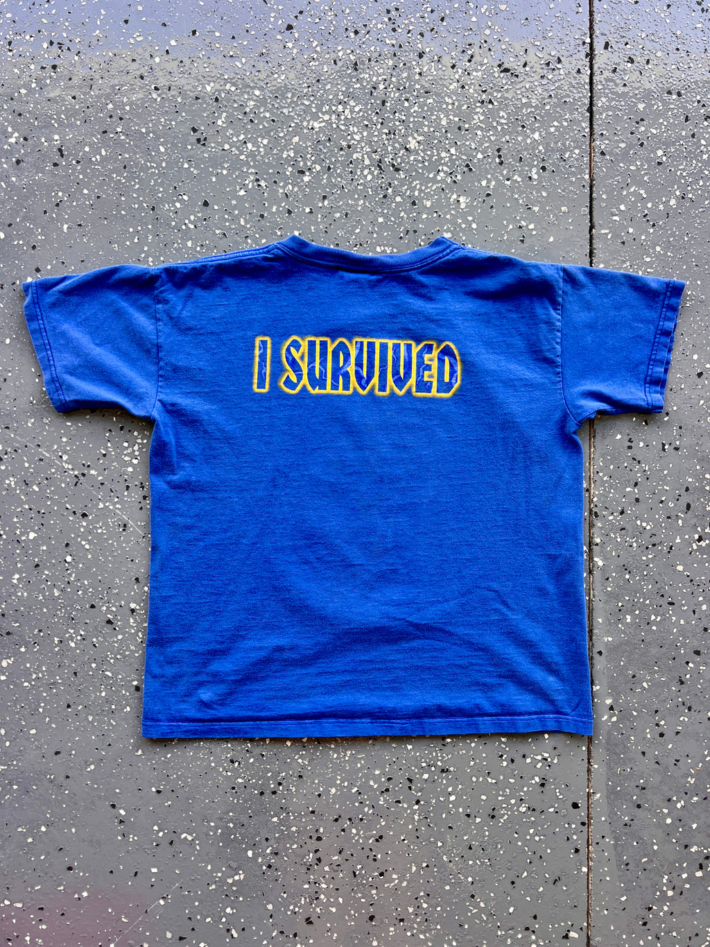 1427 - Blue Twilight Zone Tower of Terror I Survived Mickey Tee - YL