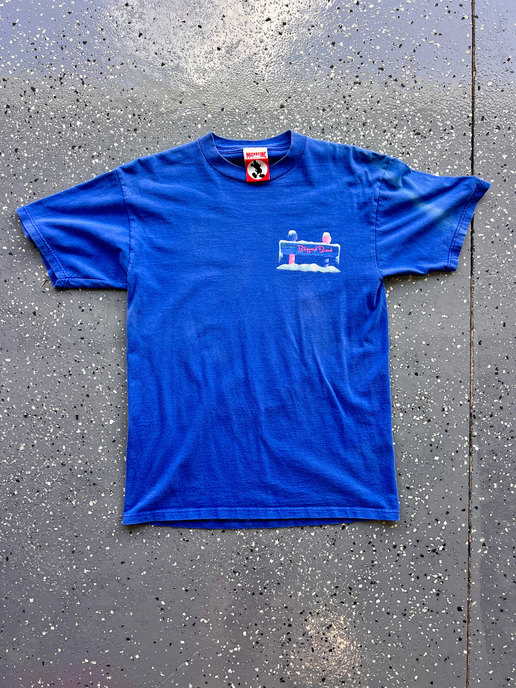 1438 - Blue Blizzard Beach Legendary Runs Sign Tee - M