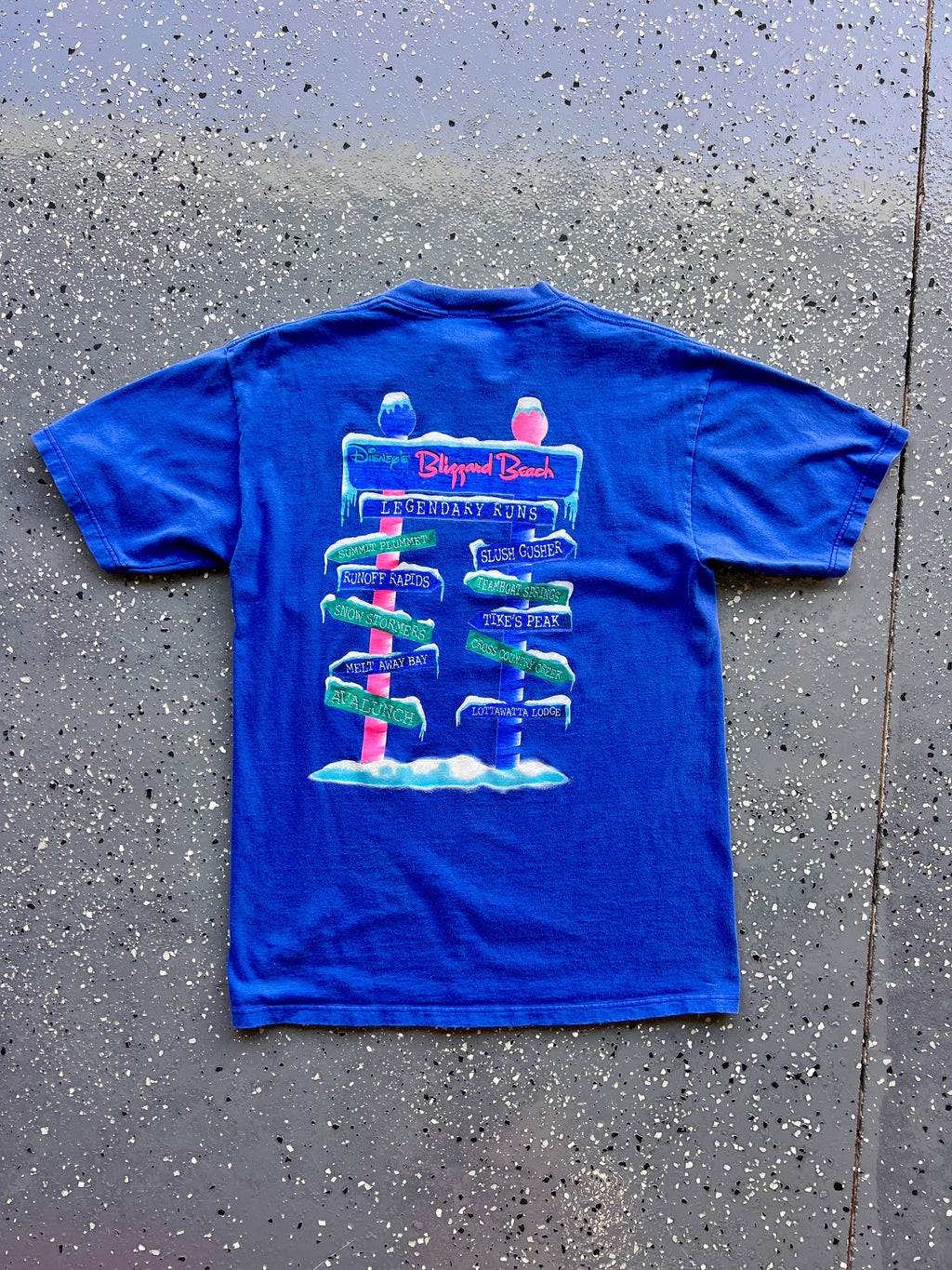 1438 - Blue Blizzard Beach Legendary Runs Sign Tee - M