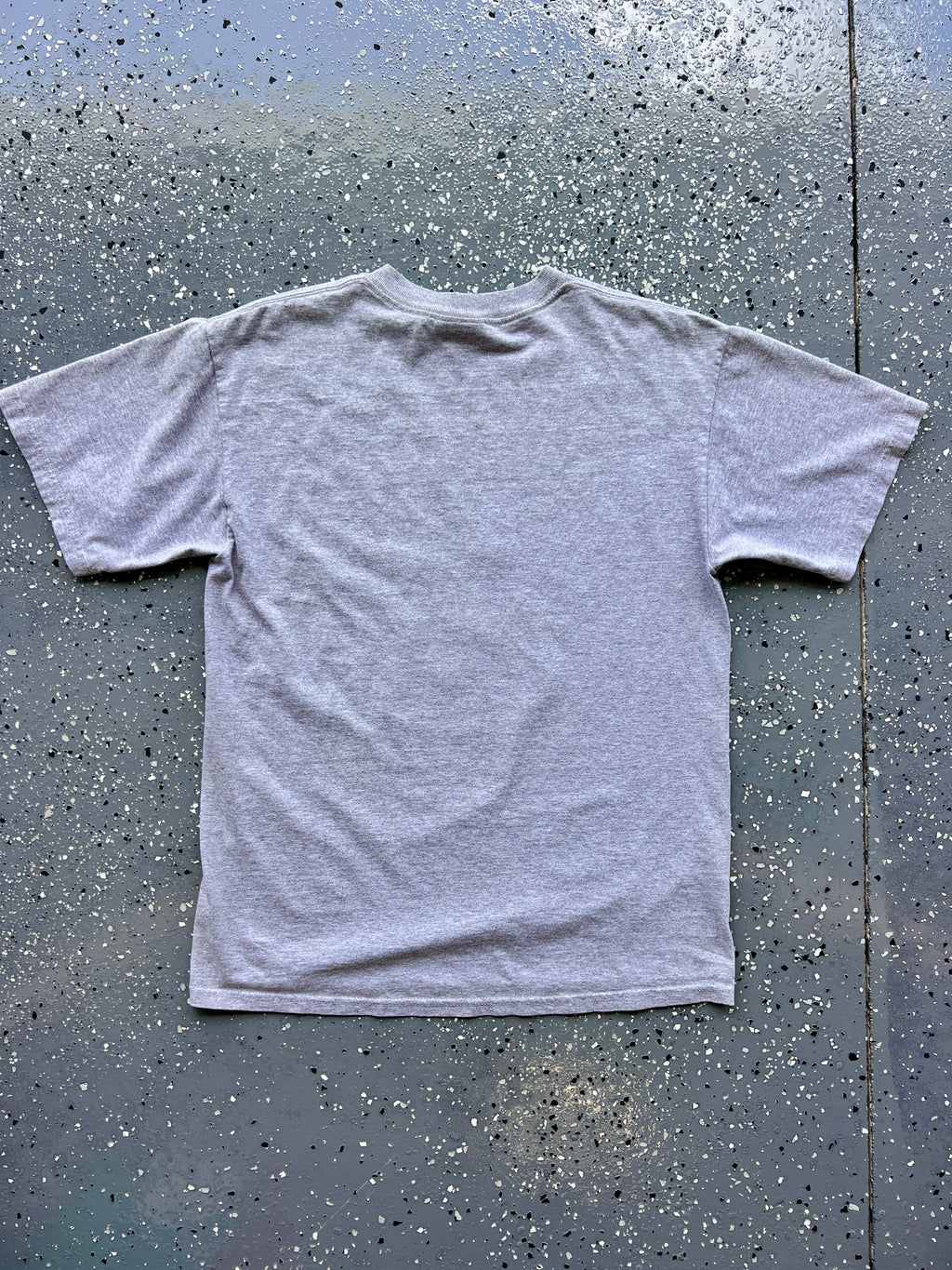 1459 - Heather Grey Donald I Wet My Feathers Grizzly River Run Tee - M