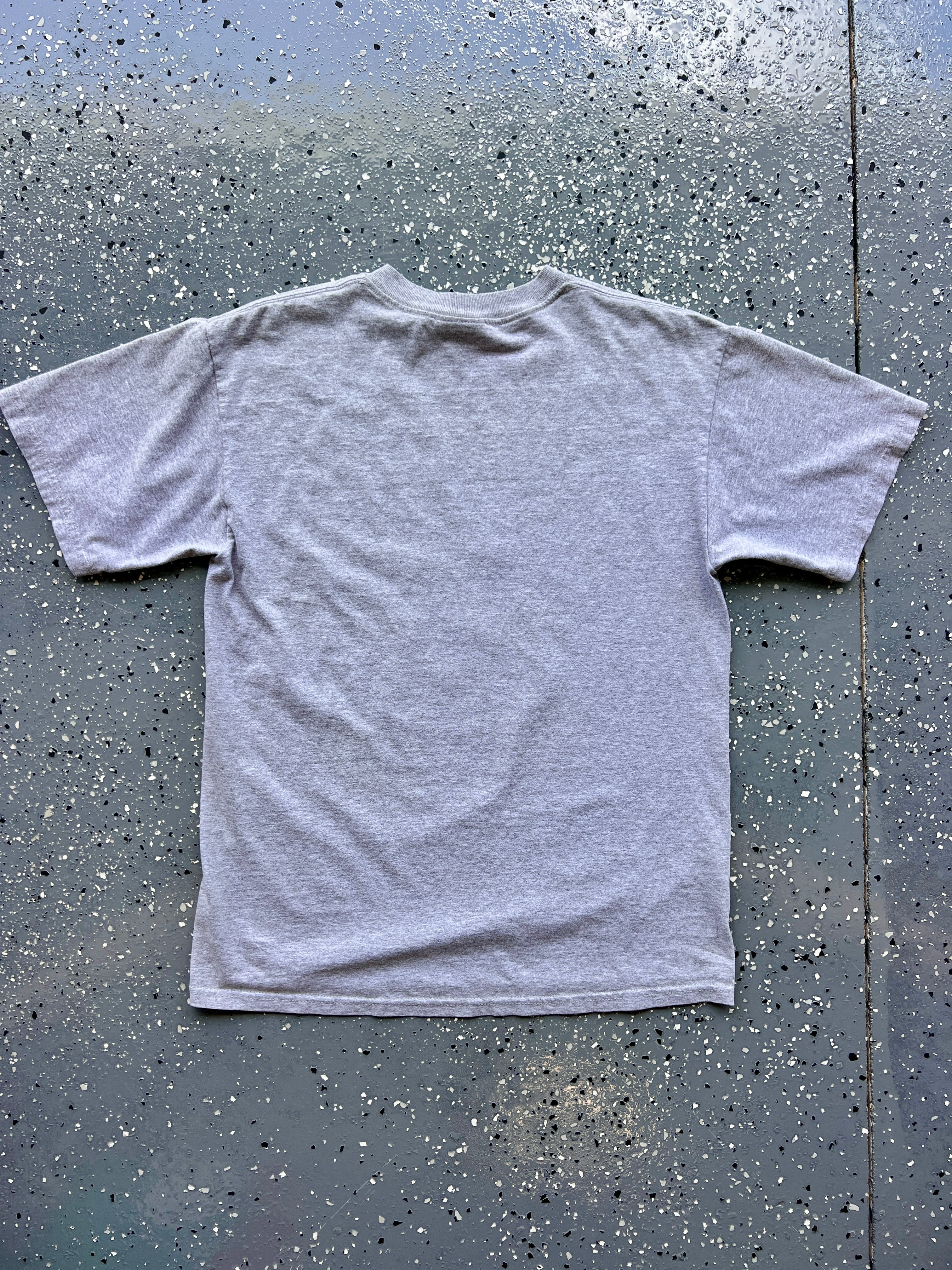 1459 - Heather Grey Donald I Wet My Feathers Grizzly River Run Tee - M