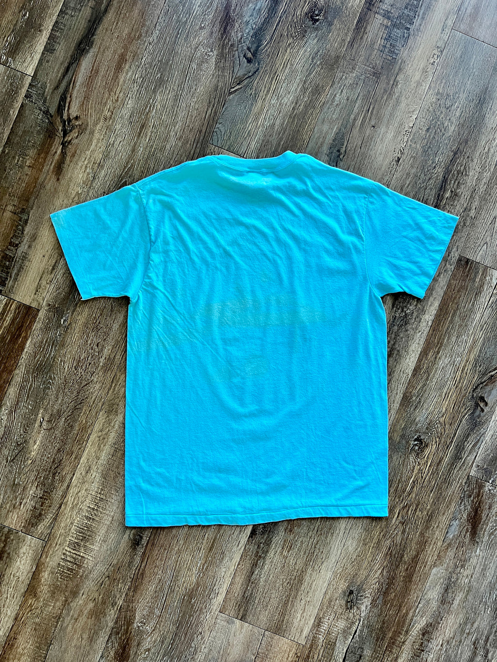 1255 -Blue 20 Magical Years with Parks Shirt - XL
