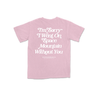 Wish You Were Here PINK